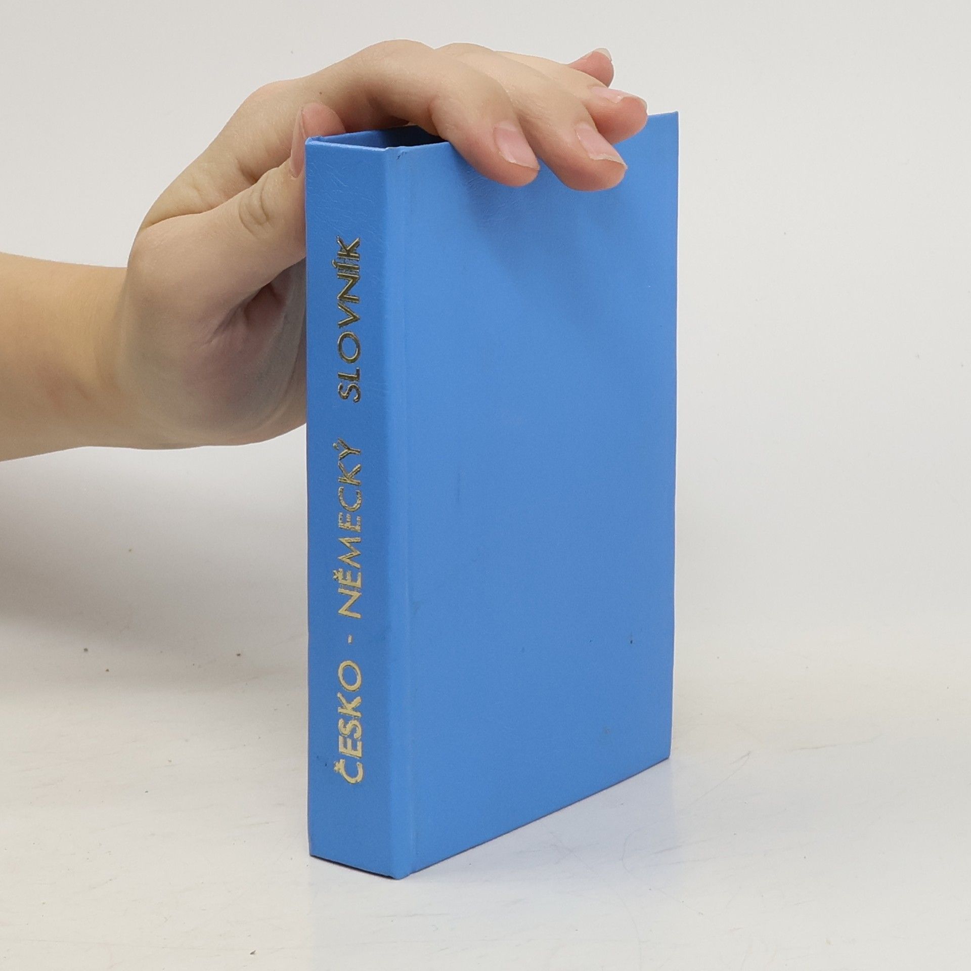 Collectif d'auteurs Česko - německý slovník