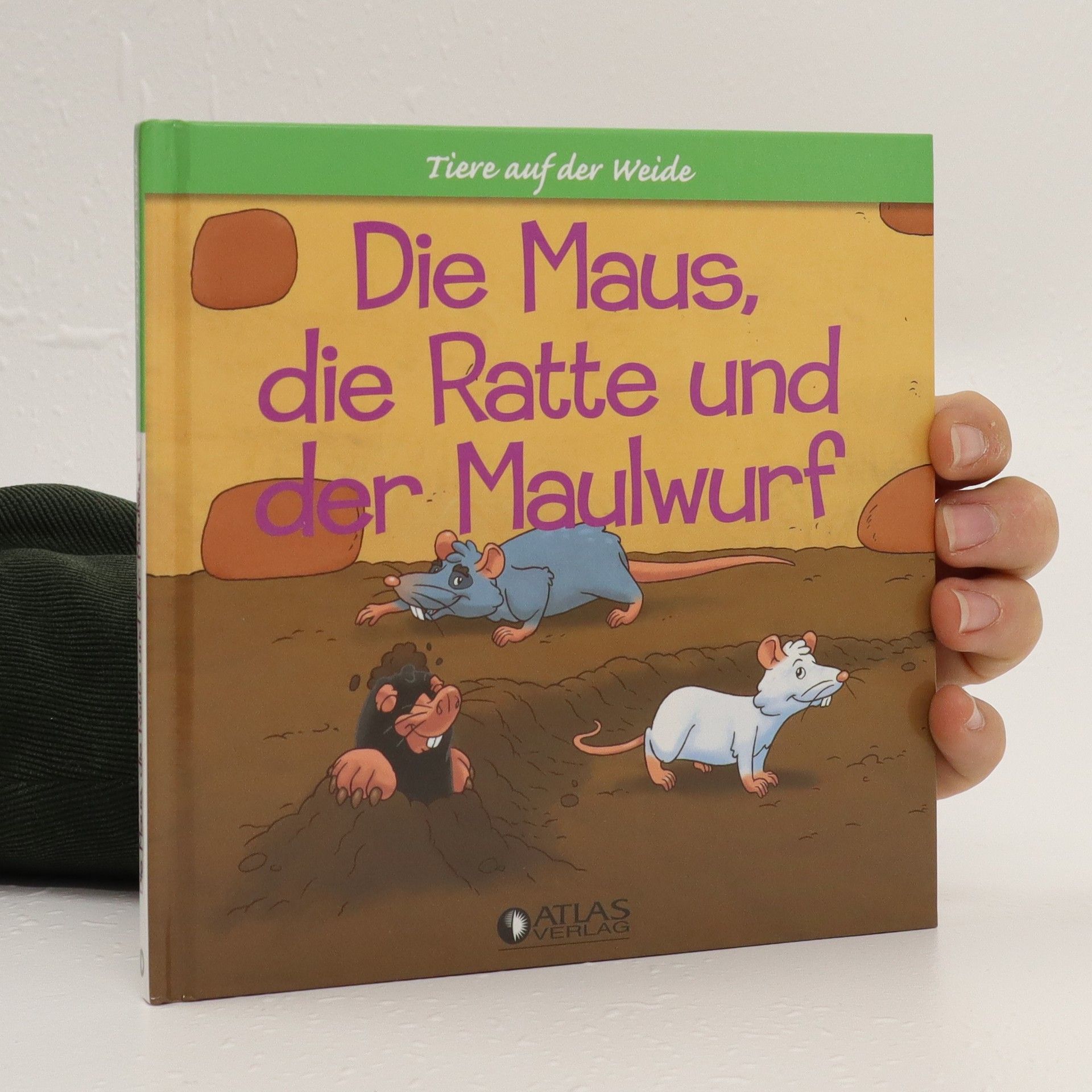 Autorenkollektiv Die Maus, die Ratte und der Maulwurf
