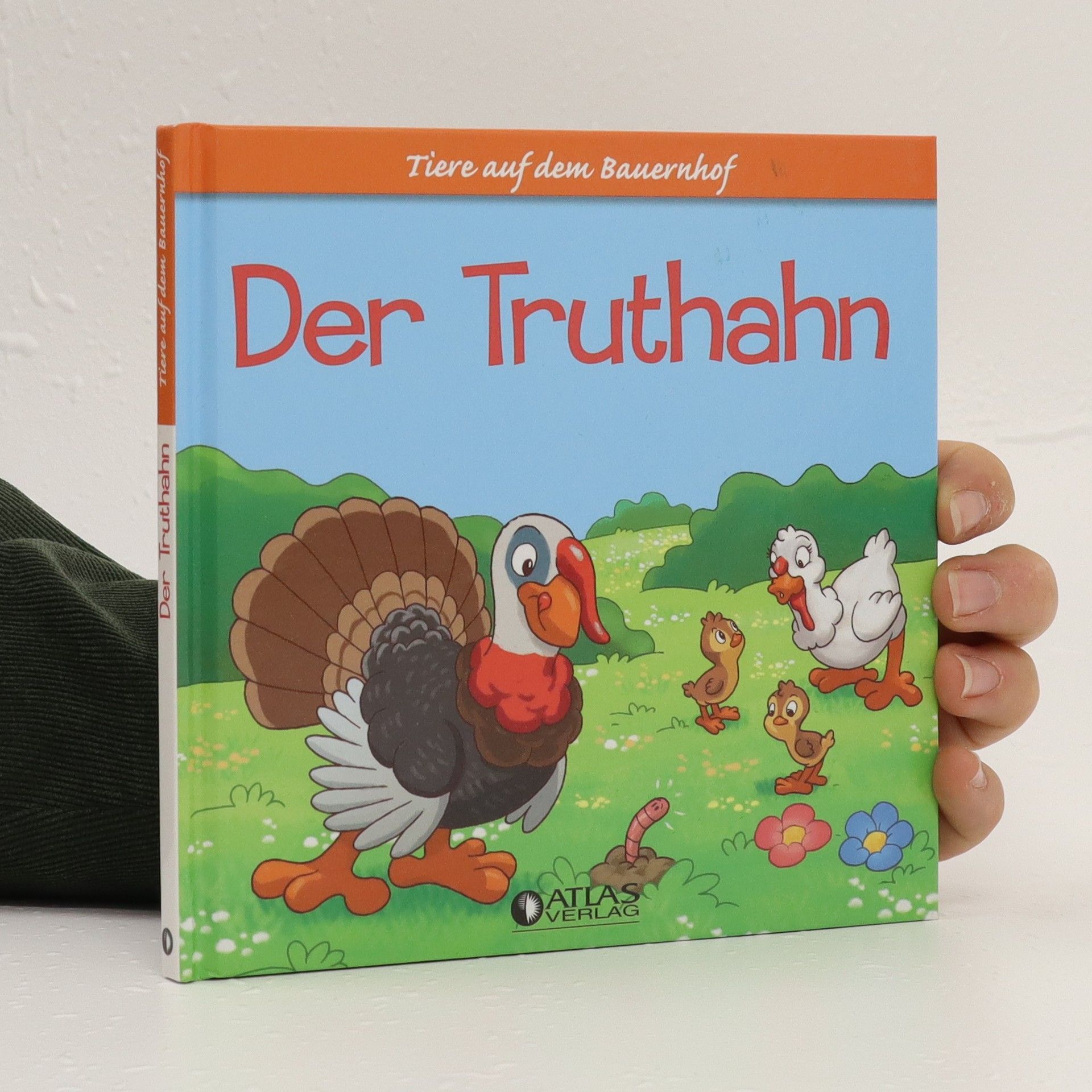 Autorenkollektiv Der Truthahn