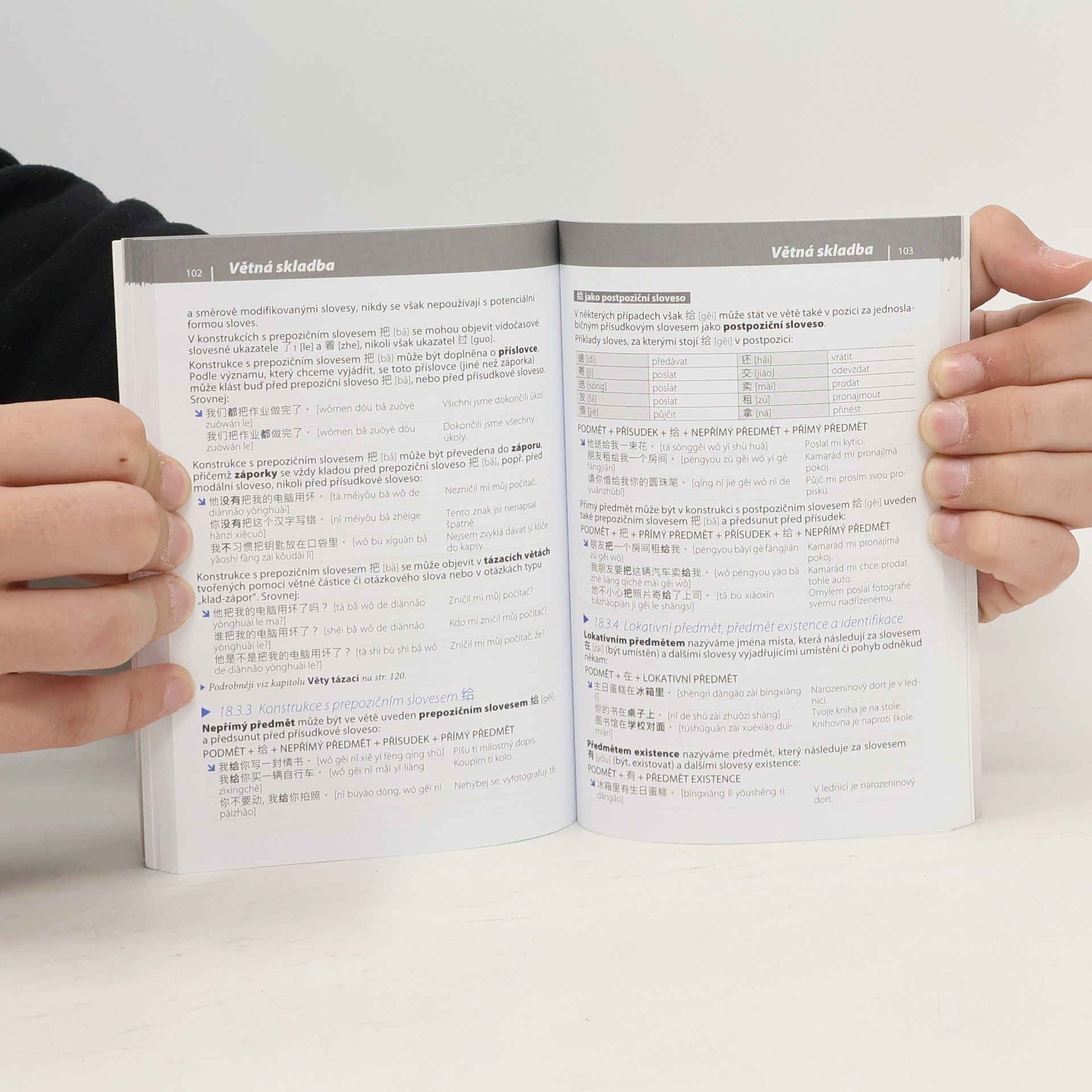Autorenkollektiv Gramatika současné čínštiny