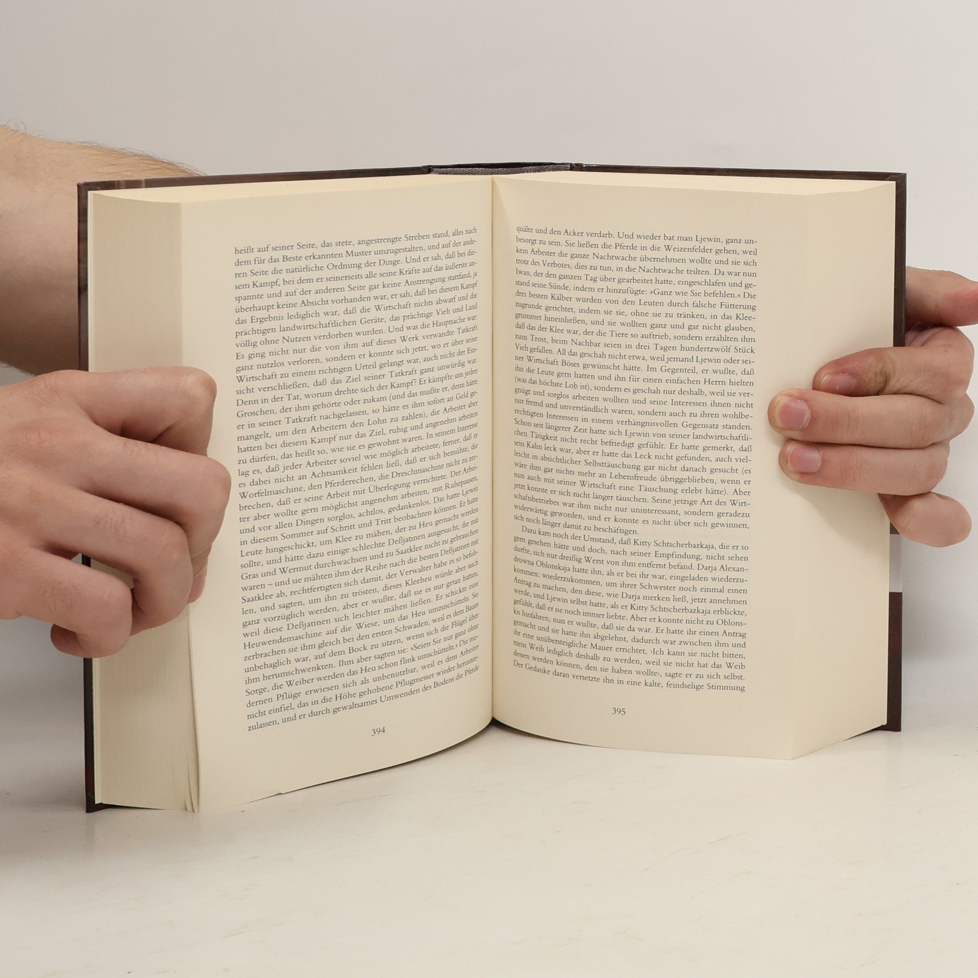 Lew Nikolajewitsch Tolstoi Anna Karenina