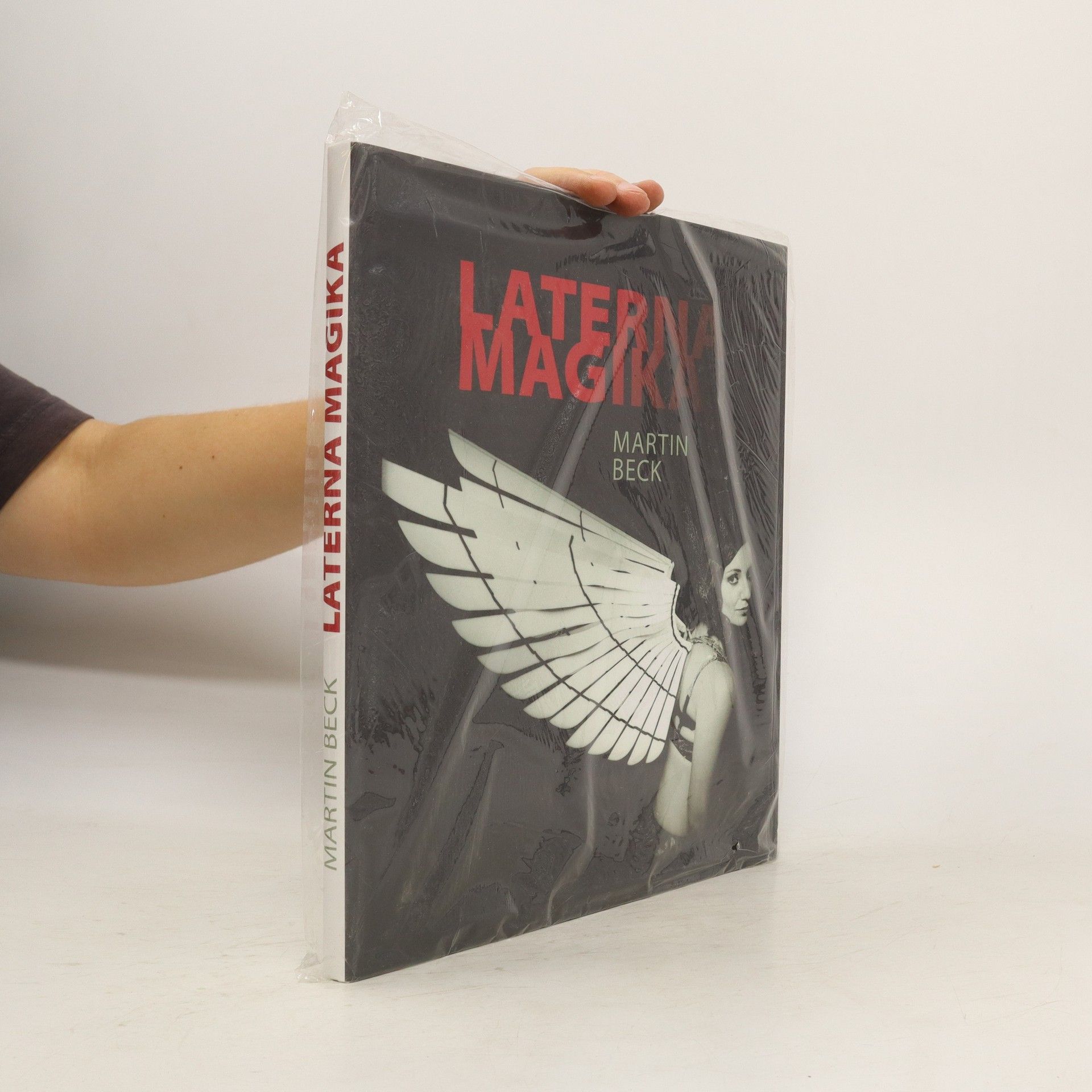 Martin Beck-Gasche Laterna magika