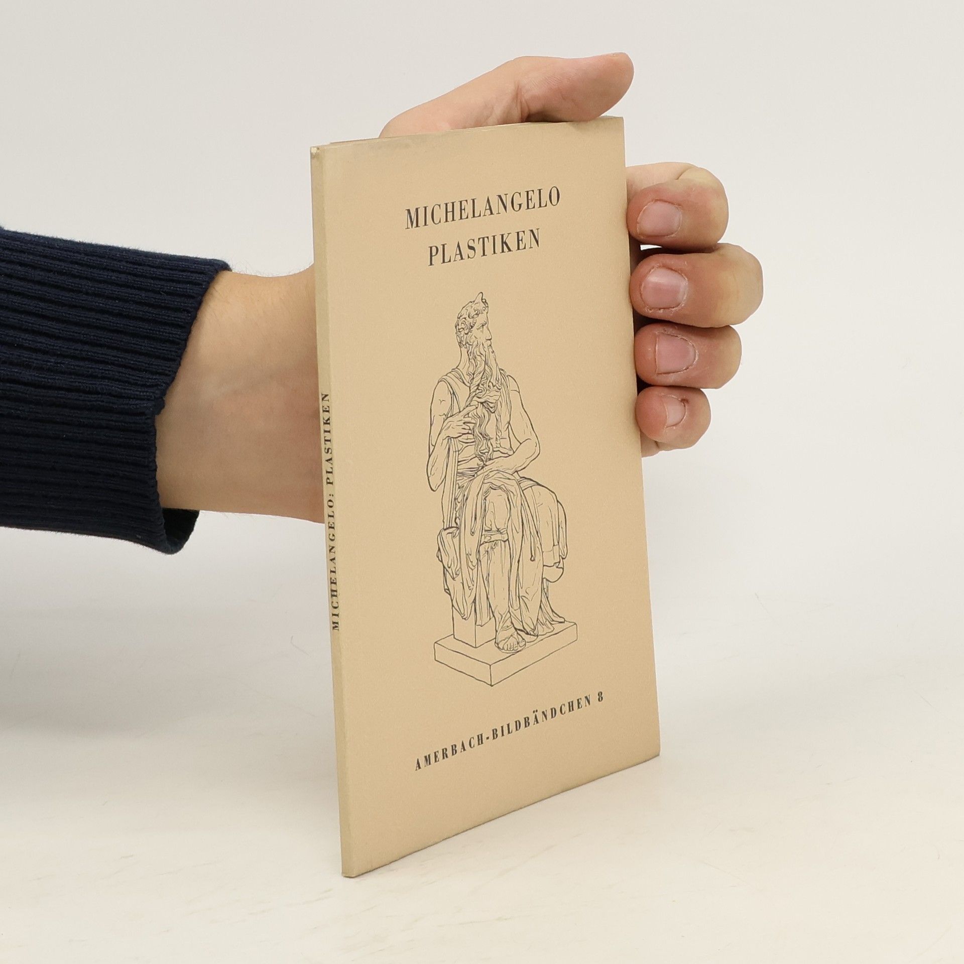 Autorenkollektiv Michelangelo Plastiken