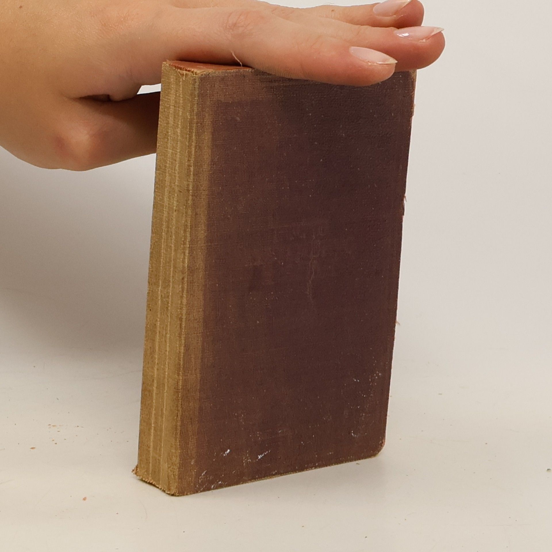 AA.VV. Il nuovo testamento