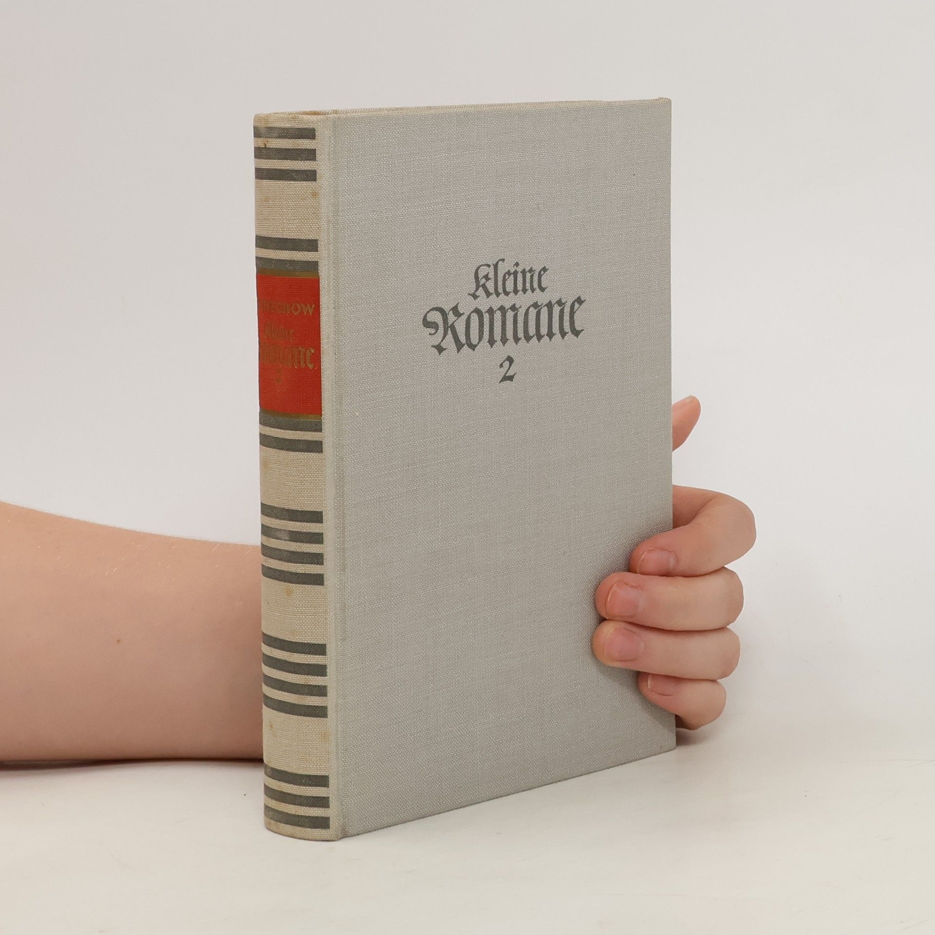 Anton Chekhov Kleine Romane 2