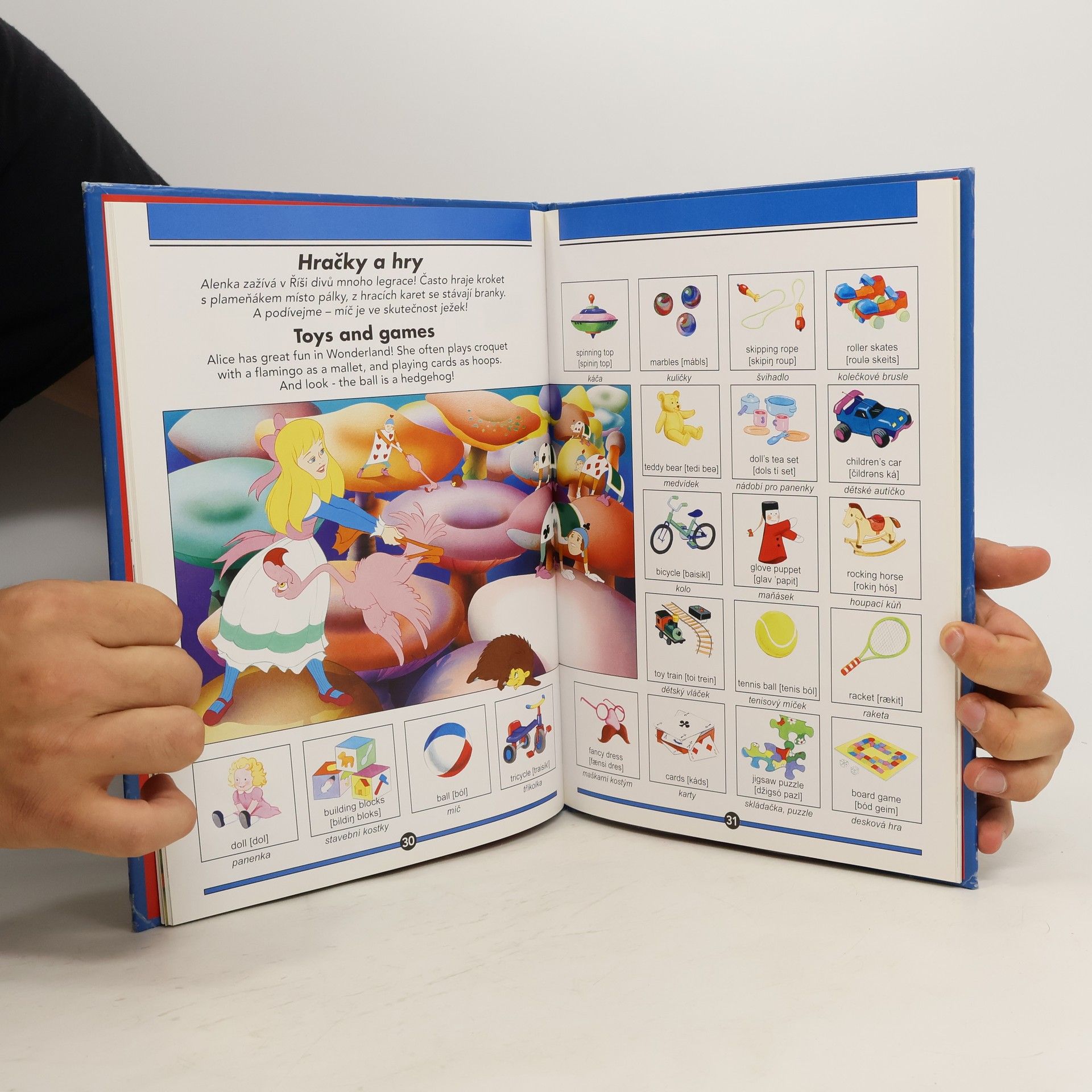 Kolektiv autorů Moje první knížka angličtiny. My First Wordbook