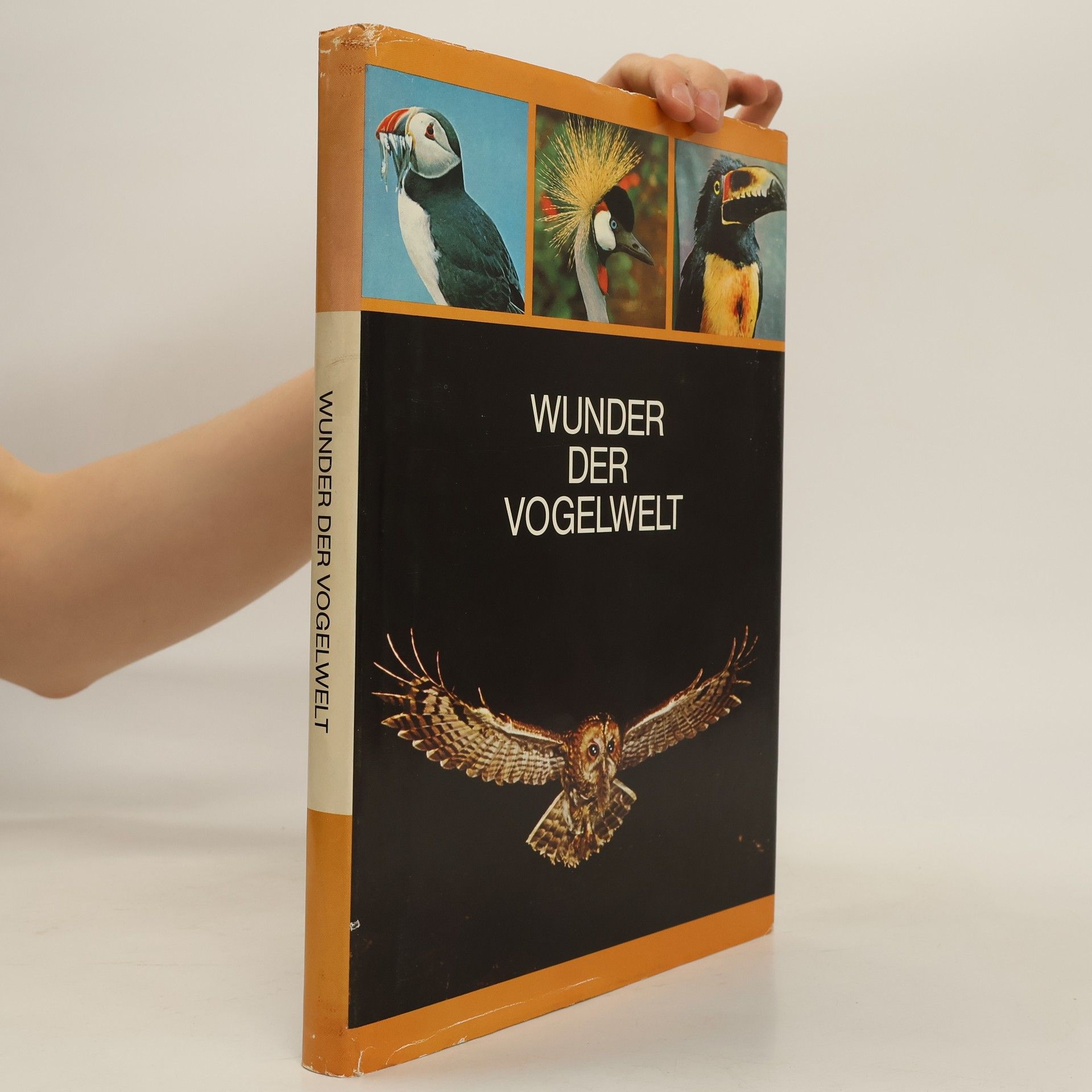 Han Rensenbrink Wunder der Vogelwelt