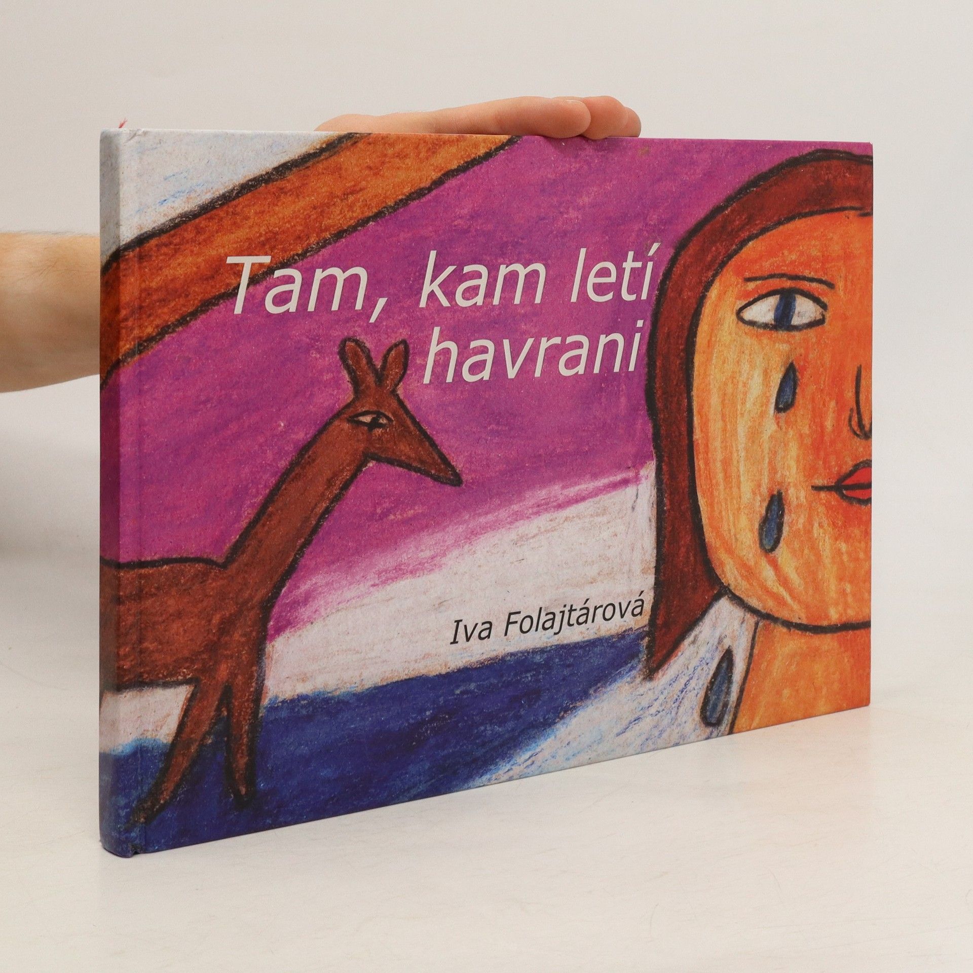 Tam, kam letí havrani