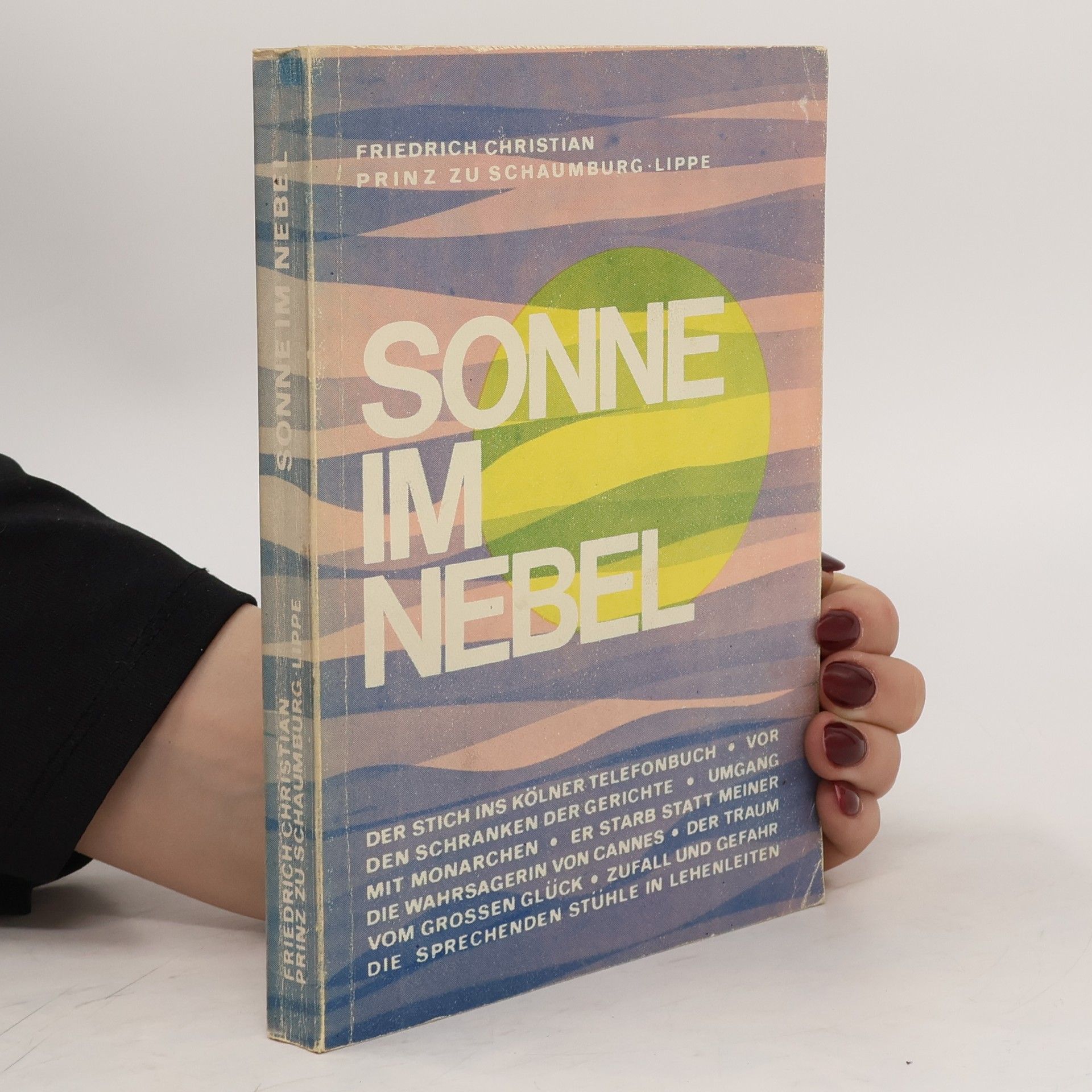 Friedrich Christian Sonne im Nebel