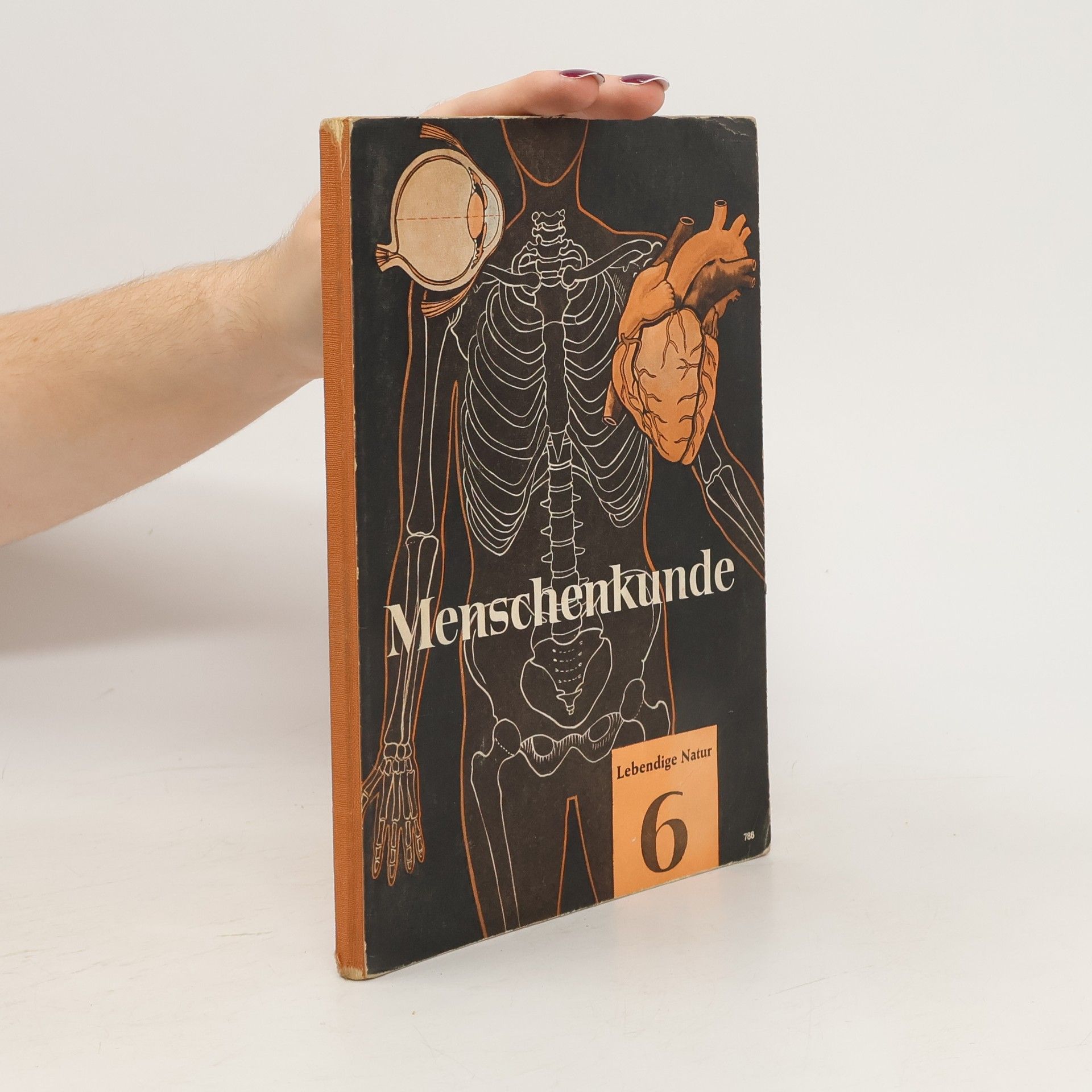 Autorenkollektiv Menschenkunde 6