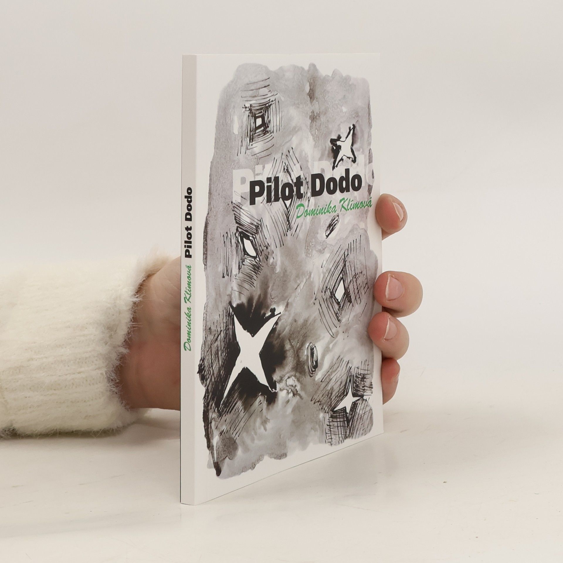 Dominika Klímová Pilot Dodo