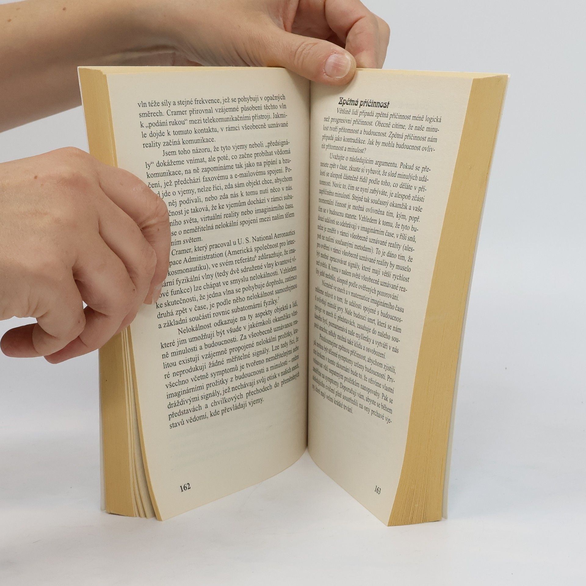 Arnold Mindell Kvantová mysl a léčba