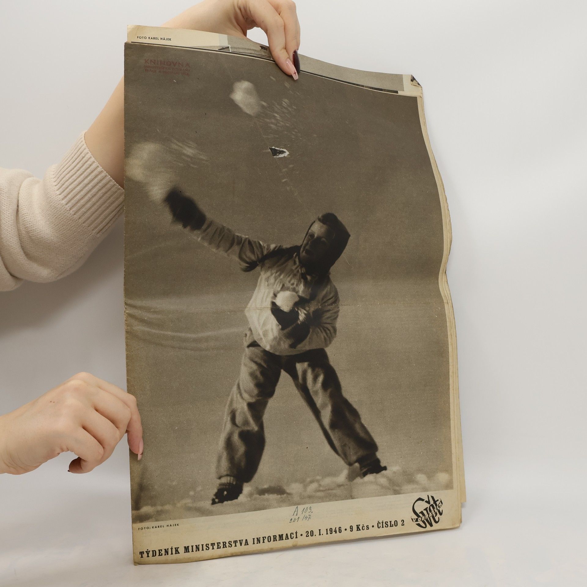 Autorenkollektiv Týdeník ministerstva informací II