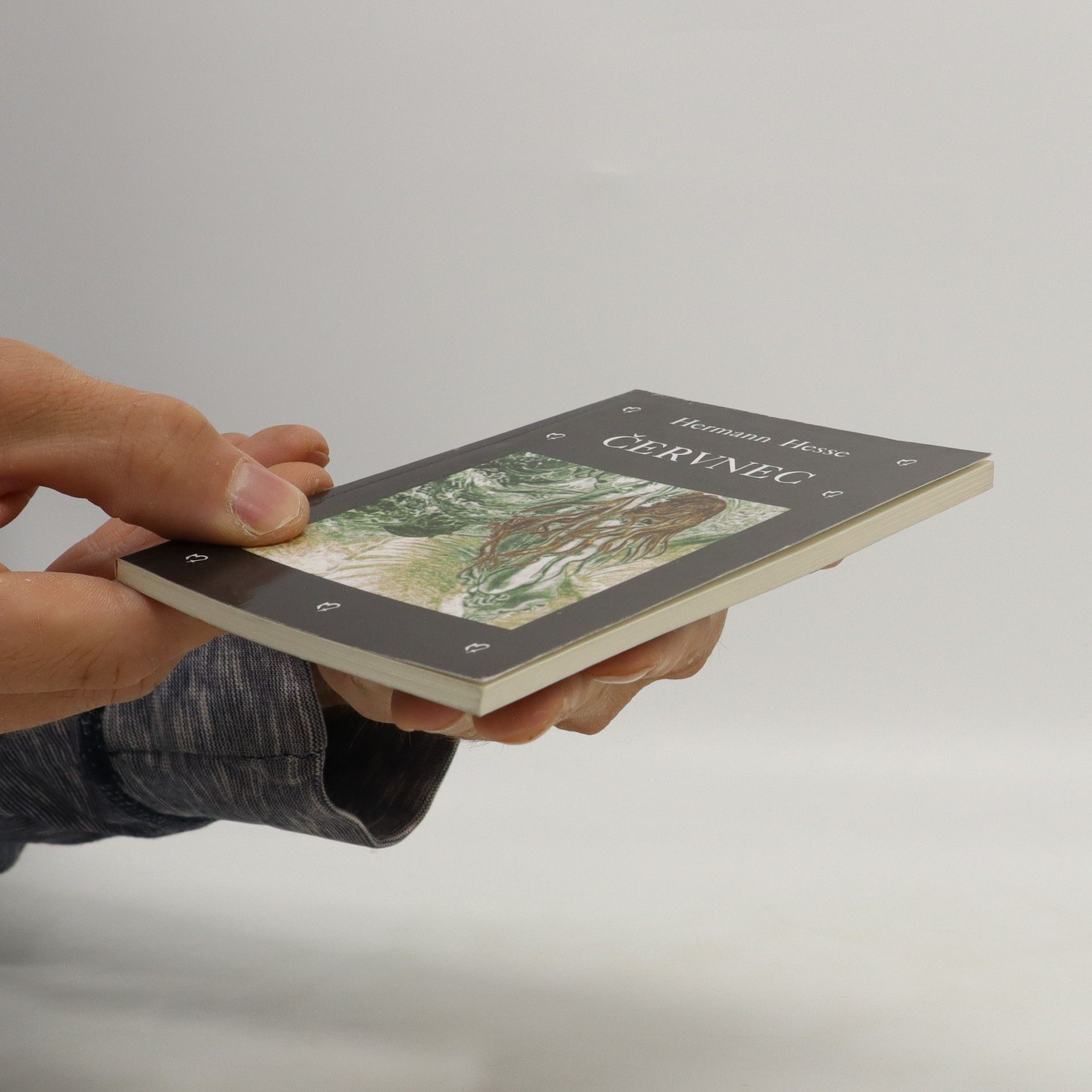Hermann Hesse Červnec