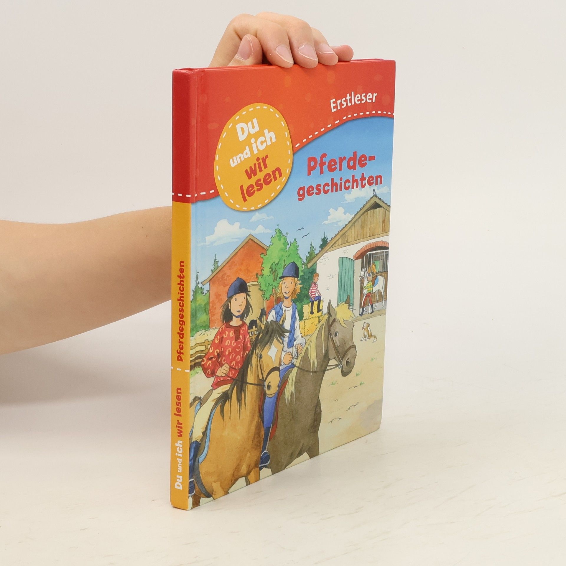 Autorenkollektiv Pferdegeschichten