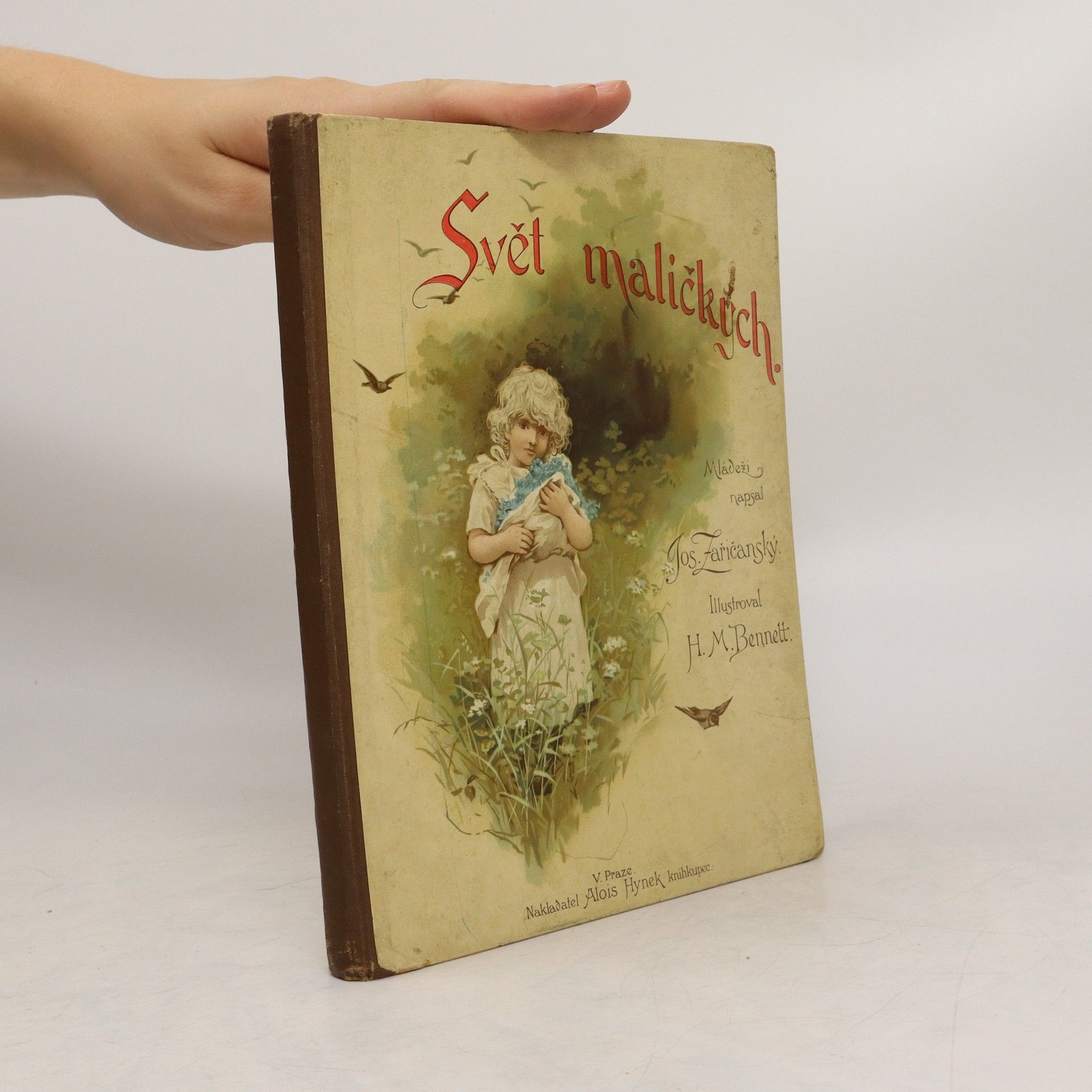 Josef Zařičanský Svět maličkých