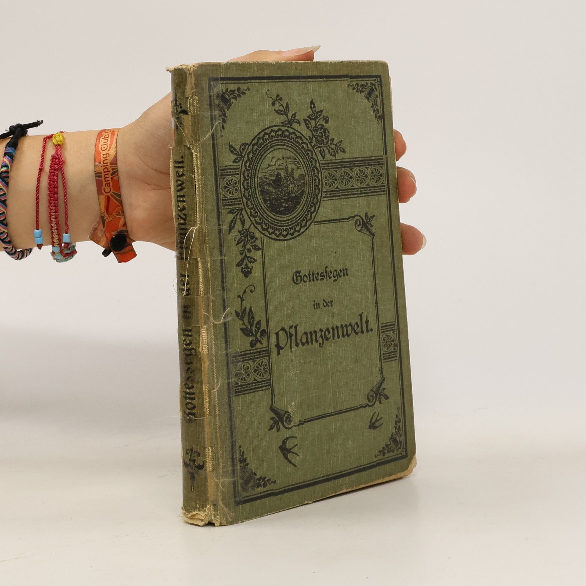 Johann Alfred Ulsamer Gottessegen in der Pflanzenwelt