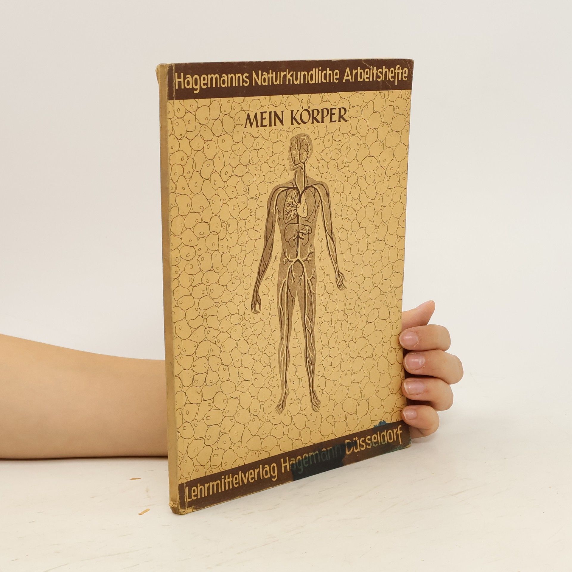 Autorenkollektiv Mein Körper