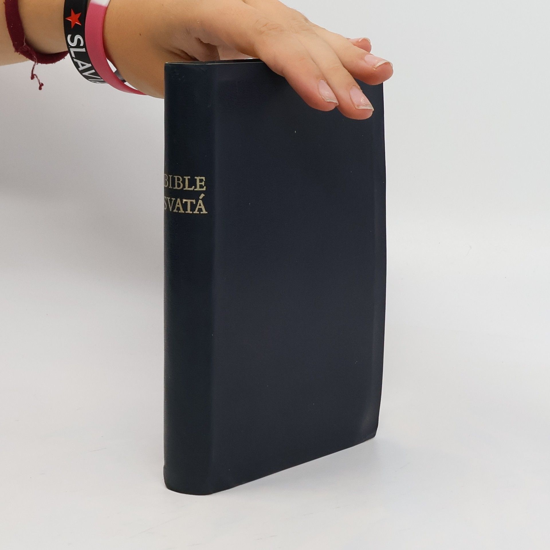 Autorenkollektiv Bible svatá aneb Všecka Svatá písma Starého i Nového zákona