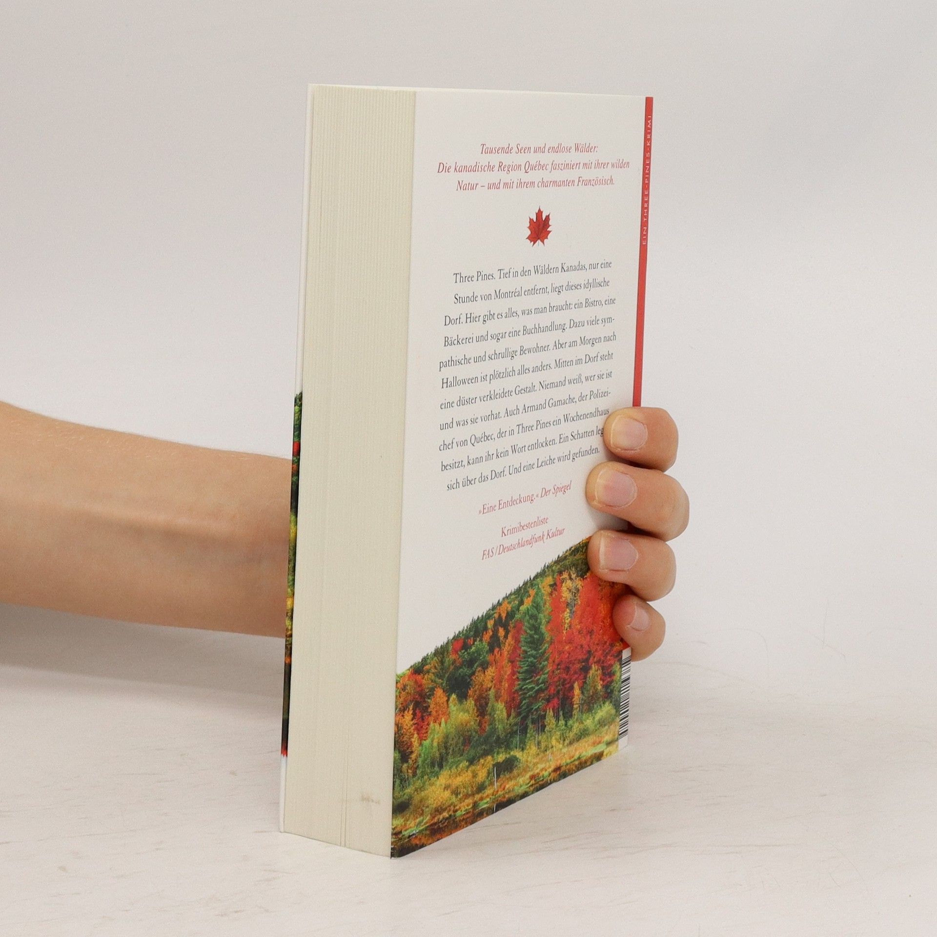Louise Penny Hinter den drei Kiefern