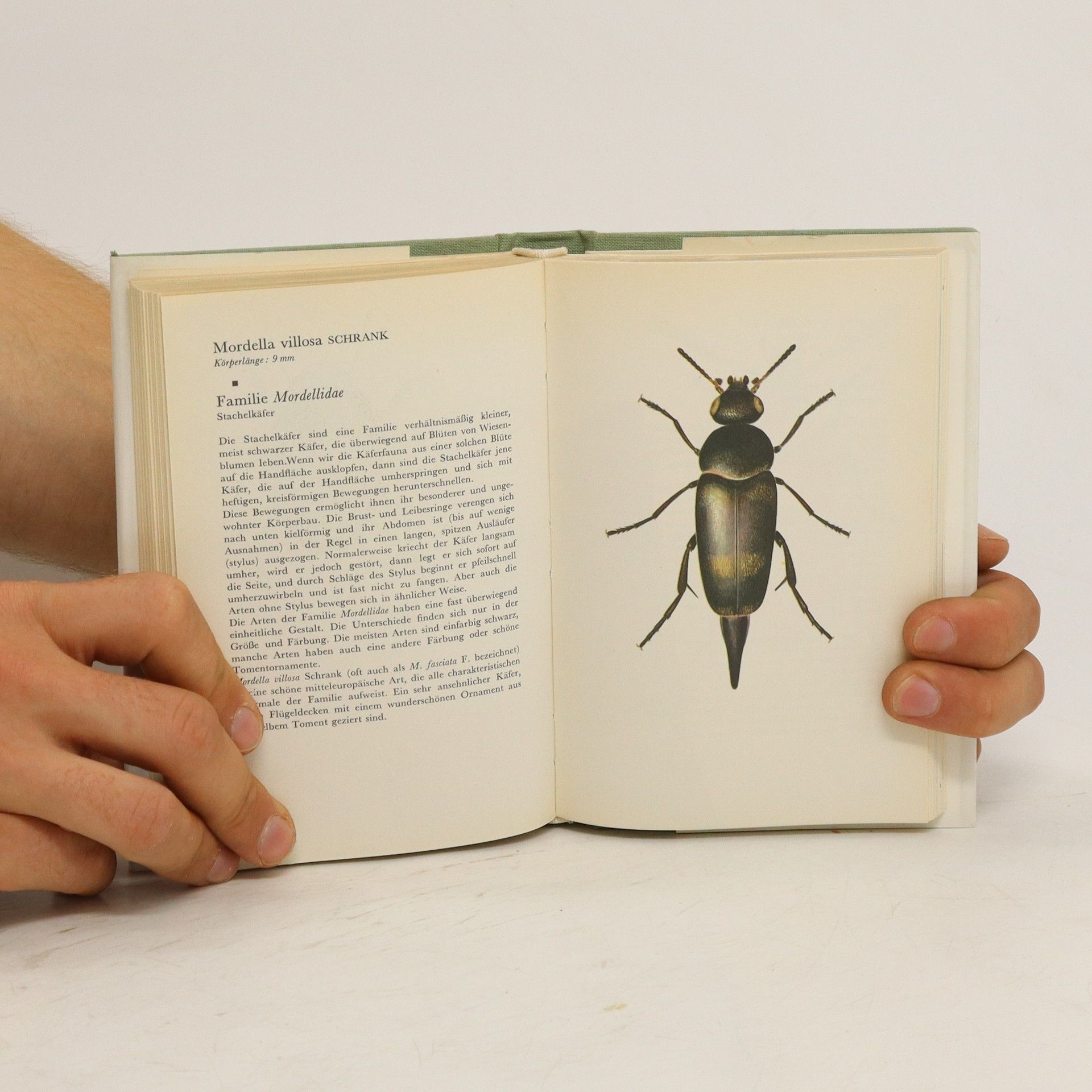 Collectif d'auteurs Taschenatlas der Käfer