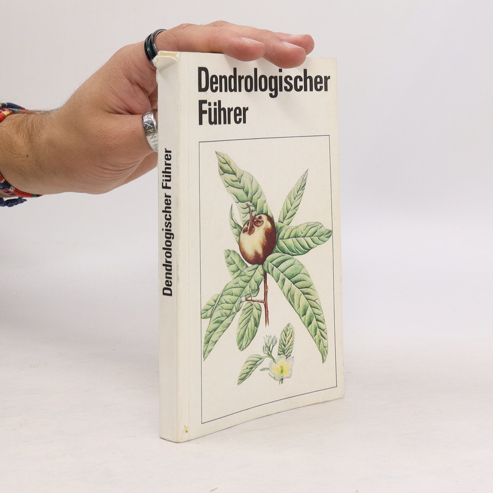 Autorenkollektiv Dendrologischer Führer