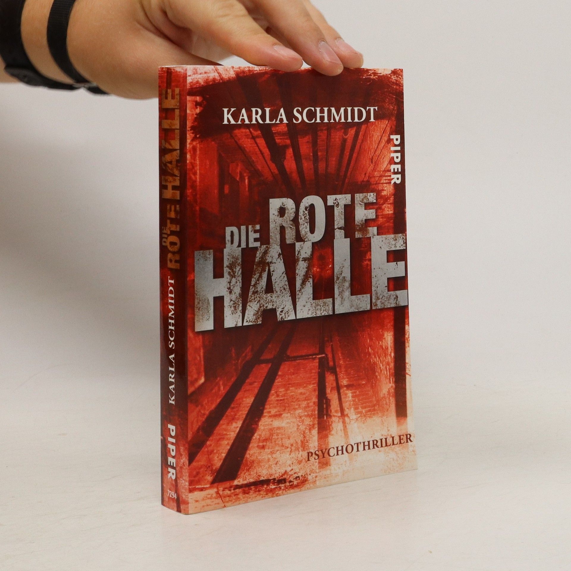 Karl A. Schmidt Die rote Halle