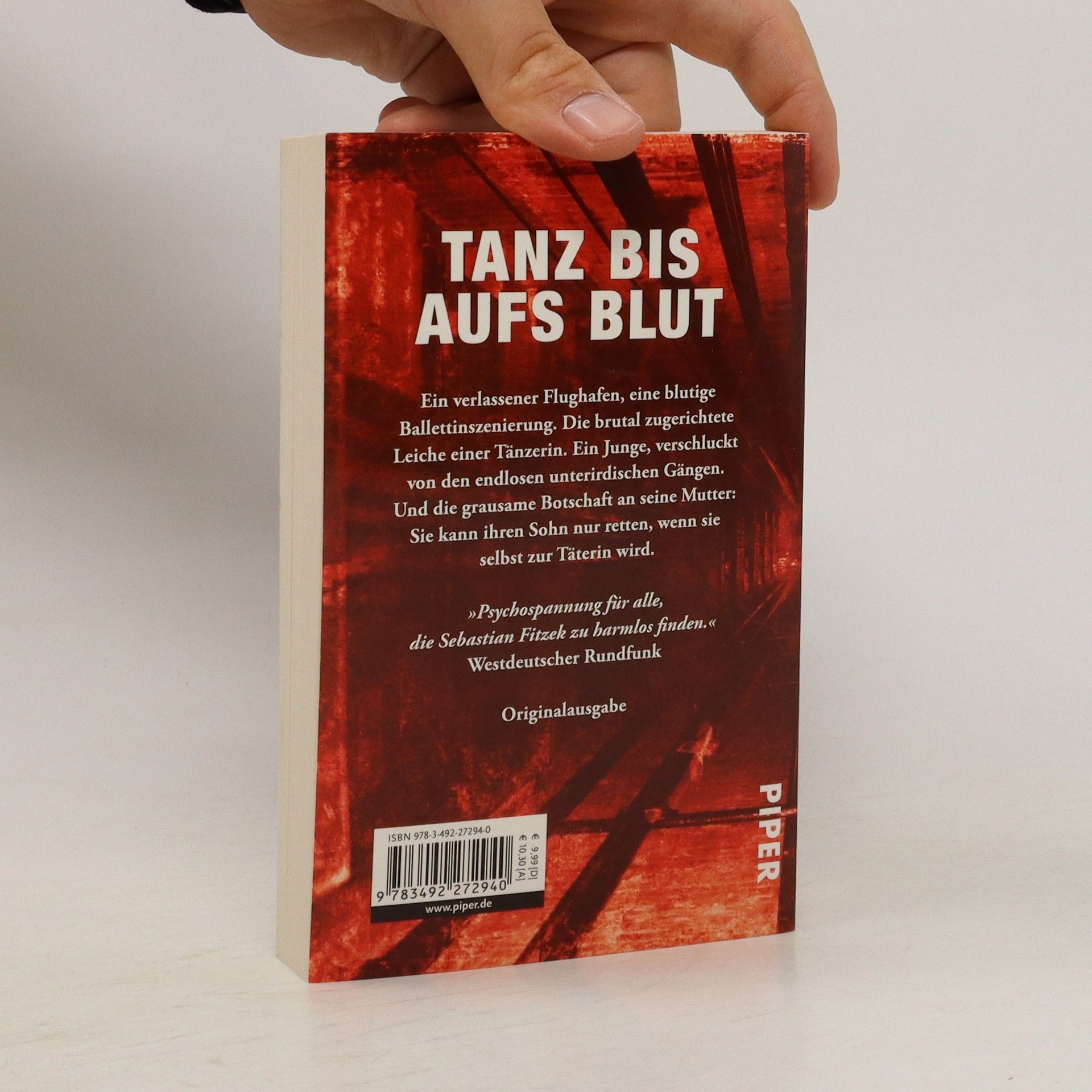 Karl A. Schmidt Die rote Halle