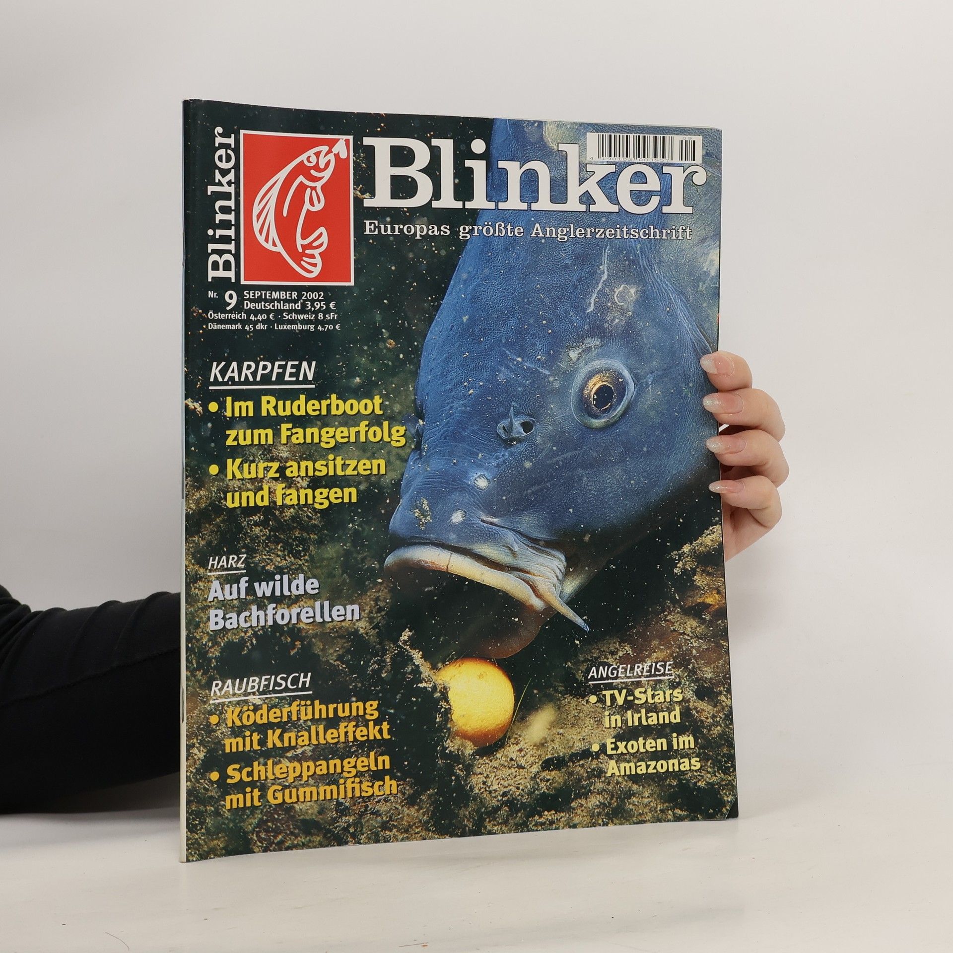 Autorenkollektiv Blinker 9/2002