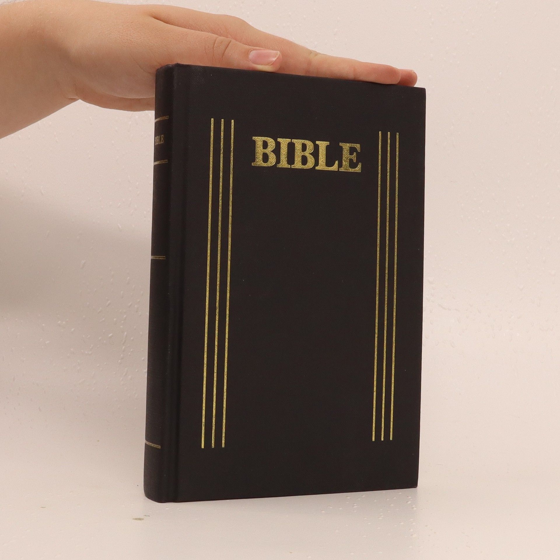 Autorenkollektiv Bible. Písmo svaté starého i nového zákona