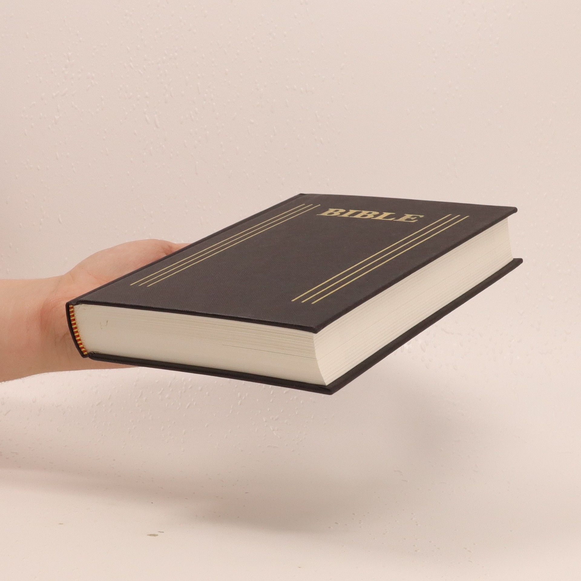 Autorenkollektiv Bible. Písmo svaté starého i nového zákona