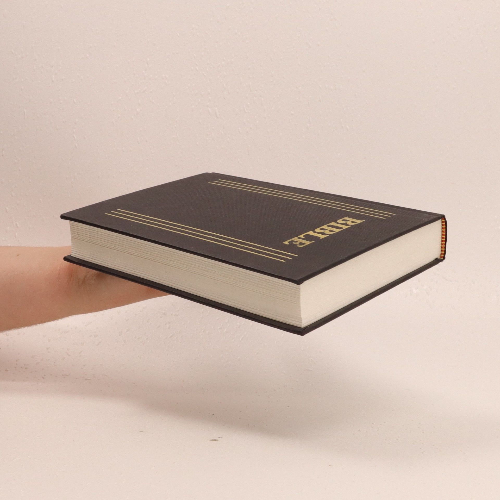 Autorenkollektiv Bible. Písmo svaté starého i nového zákona