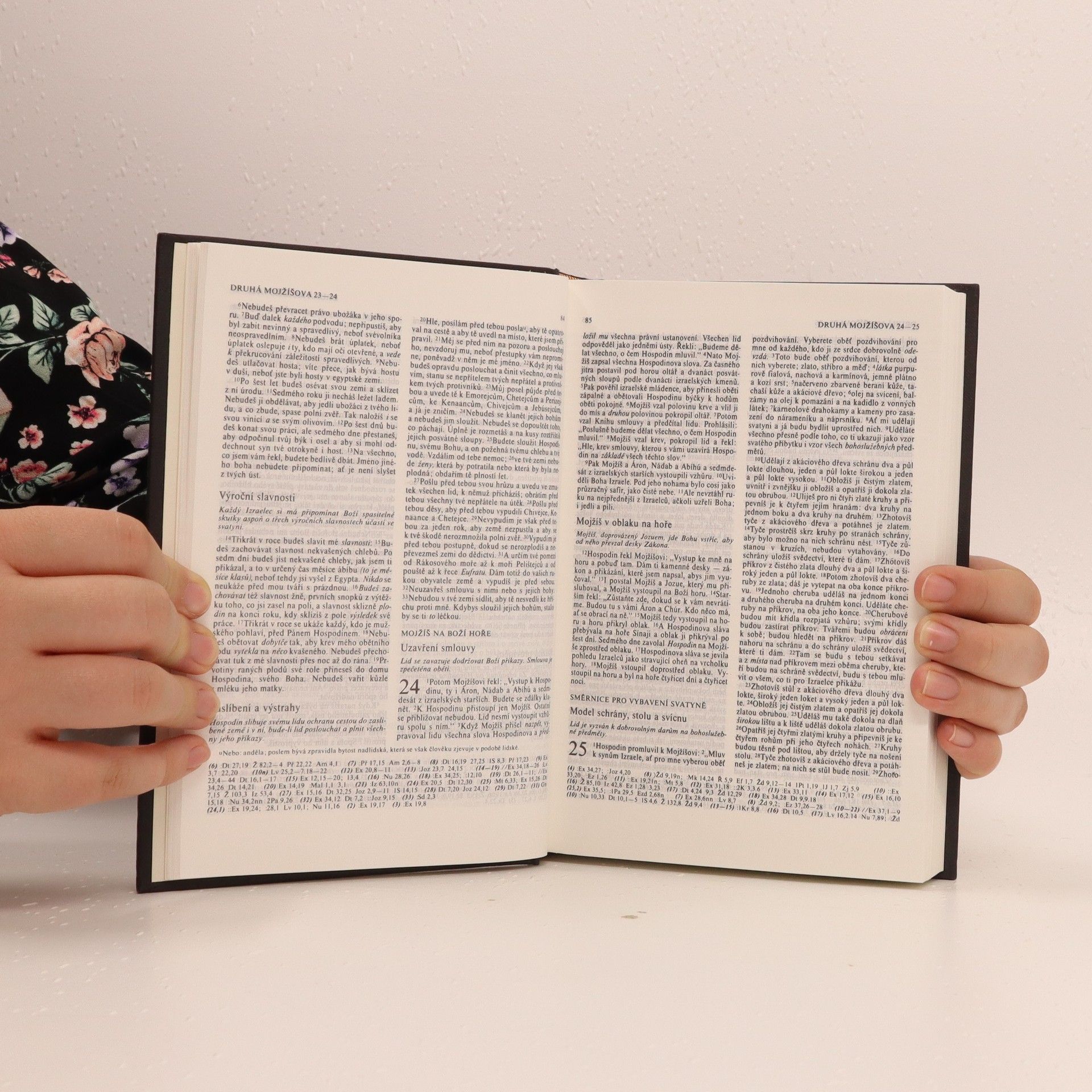 Autorenkollektiv Bible. Písmo svaté starého i nového zákona