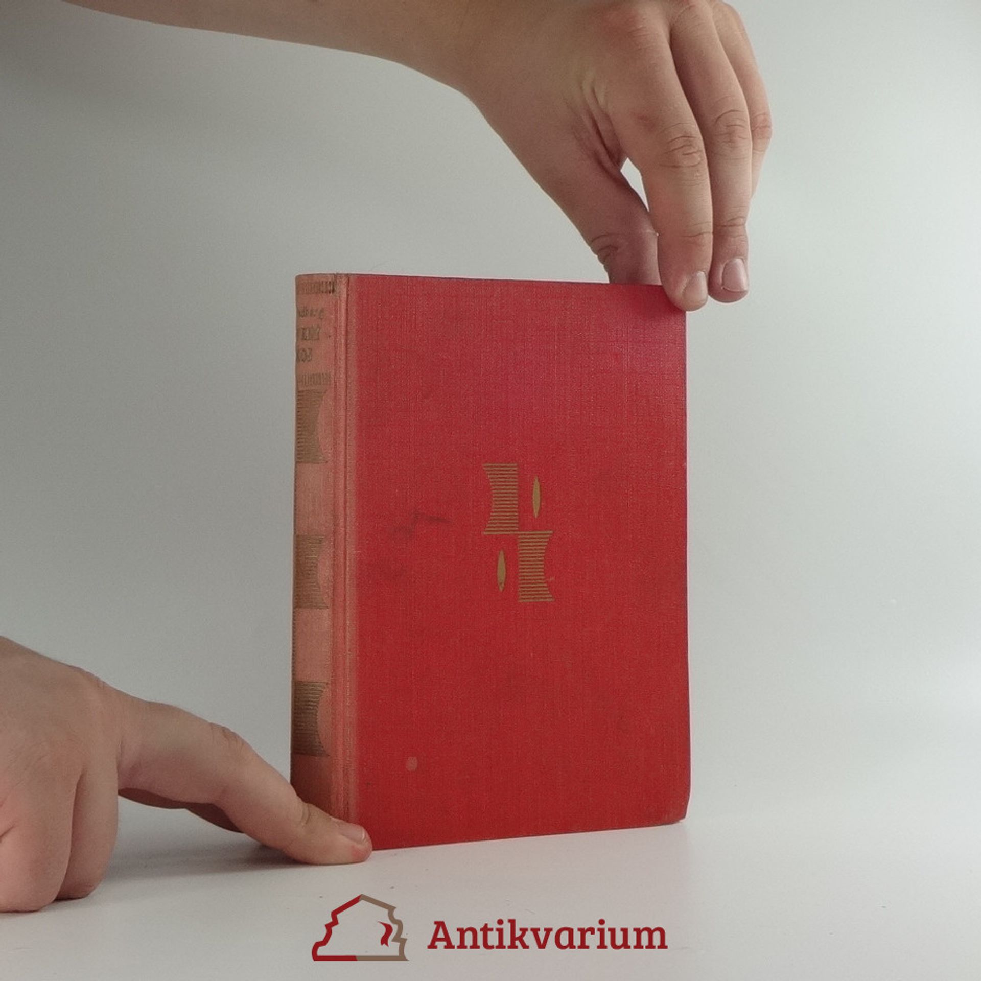 August Strindberg Červený pokoj : obrazy ze života umělců a spisovatelů