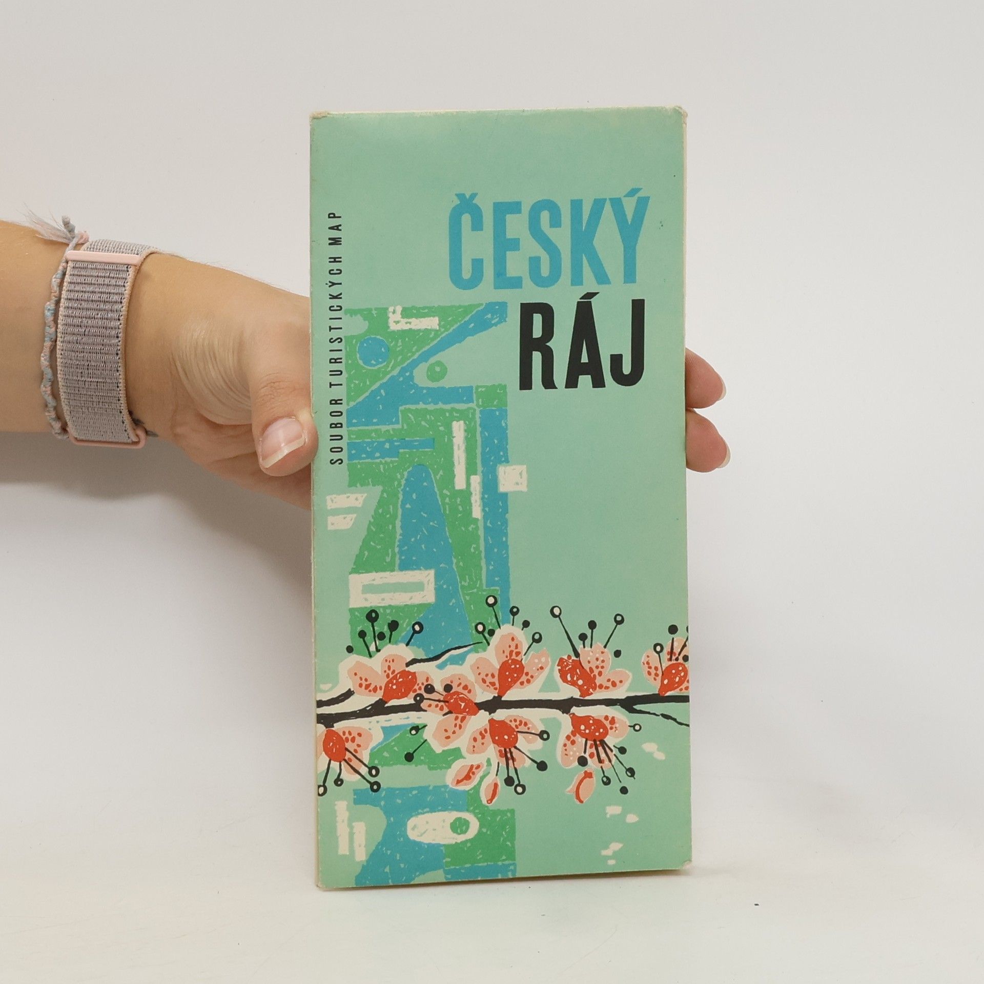 Kolektív autorov Český ráj. Soubor turistických map