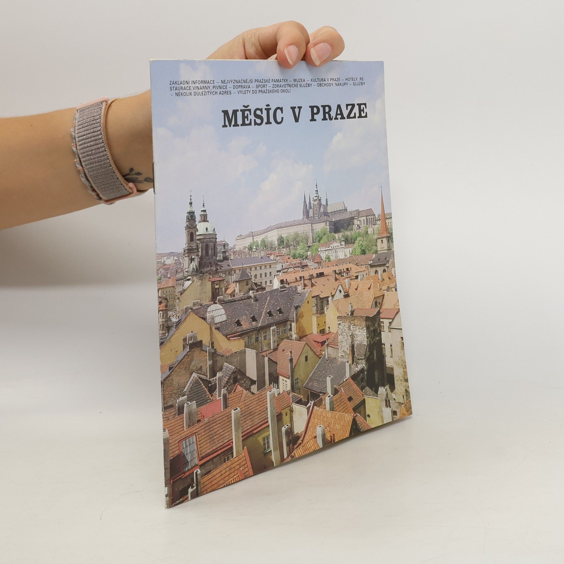 Kolektív autorov Měsíc v Praze