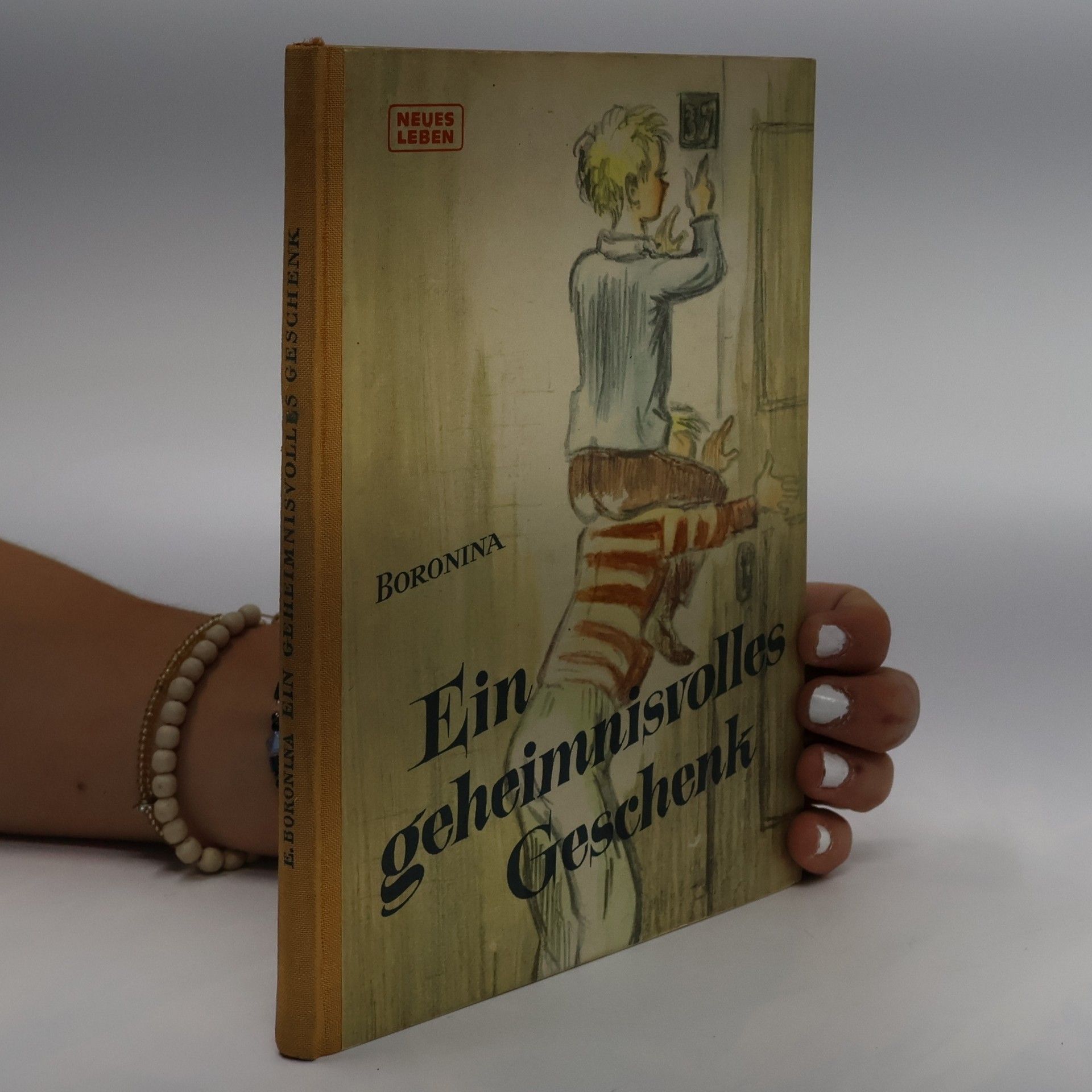 E. Boronina Ein geheimnisvolles Geschenk