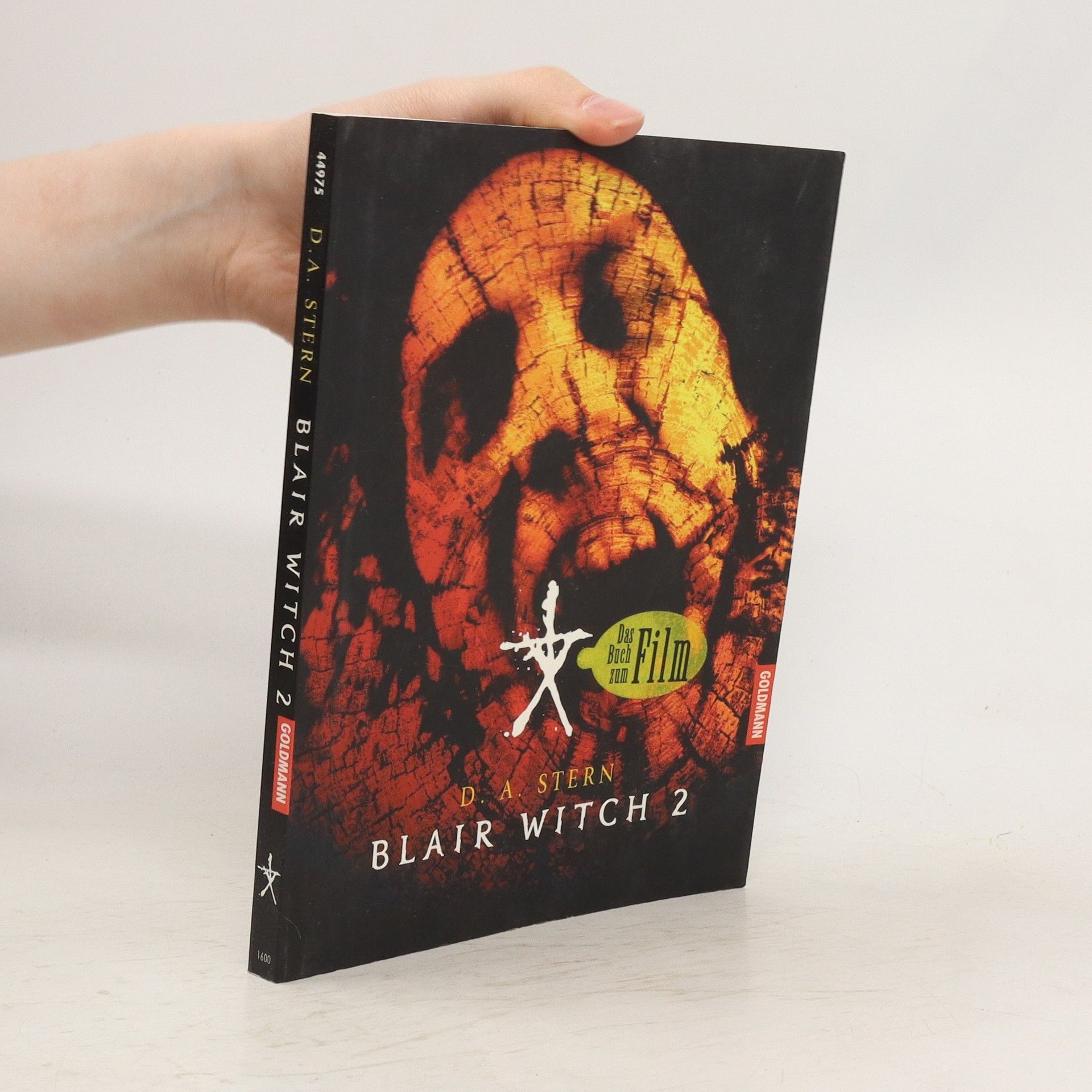 Dave Stern Blair witch 2