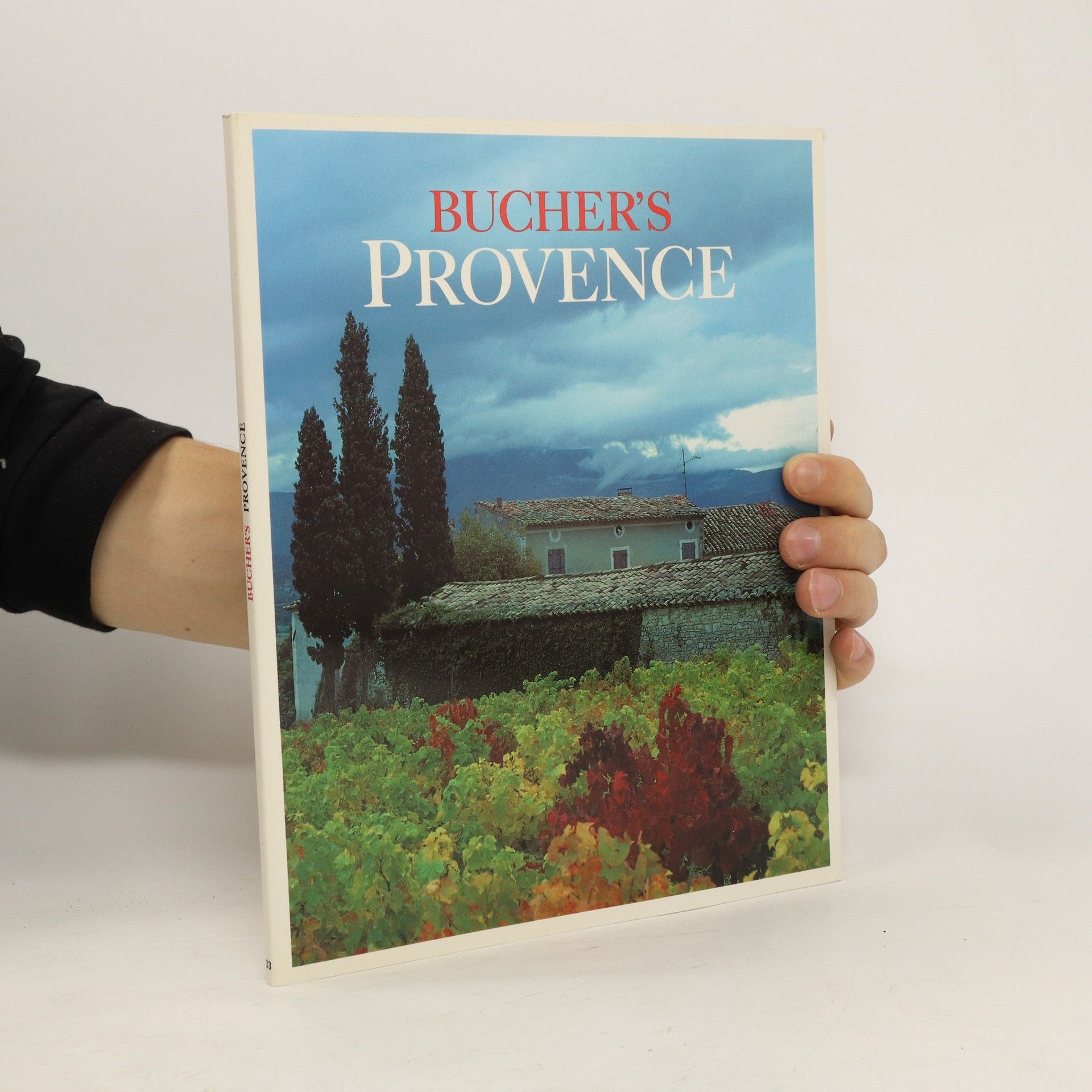 Autorenkollektiv Bucher’s Reisebegleiter 33: Provence