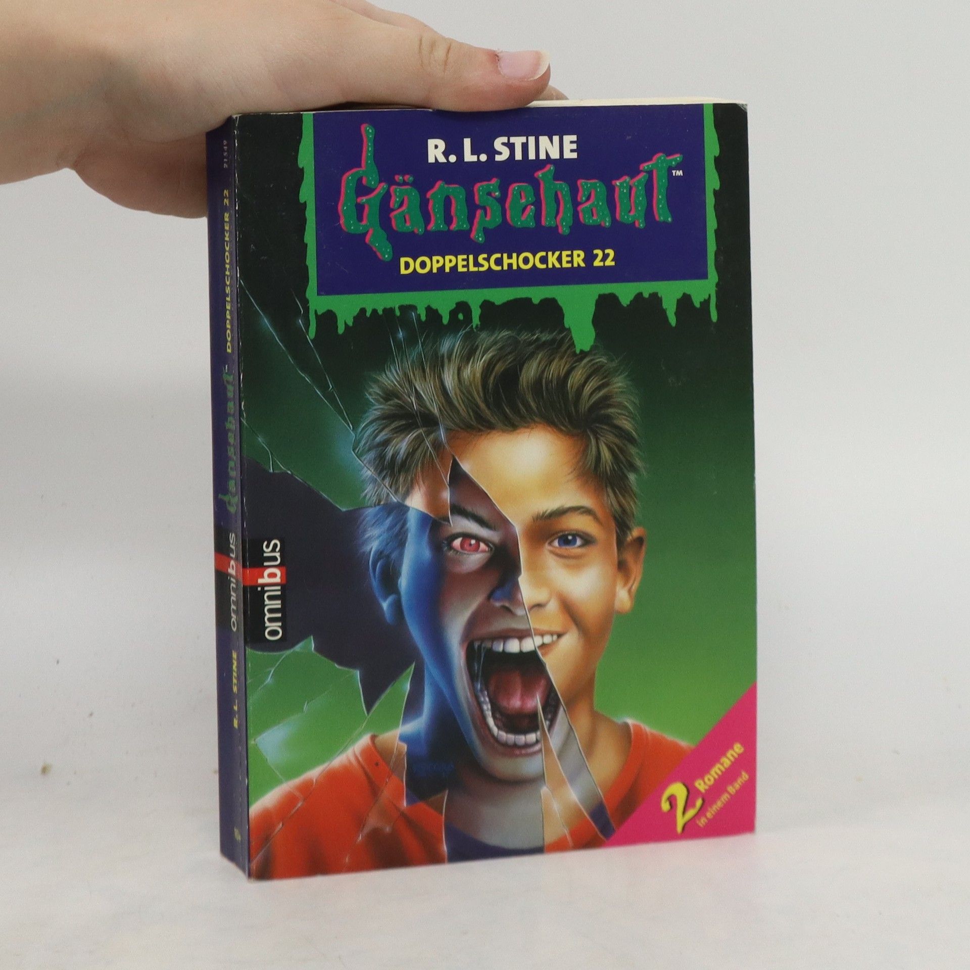 R. L. Stine Gänsehaut. Doppelschocker 22