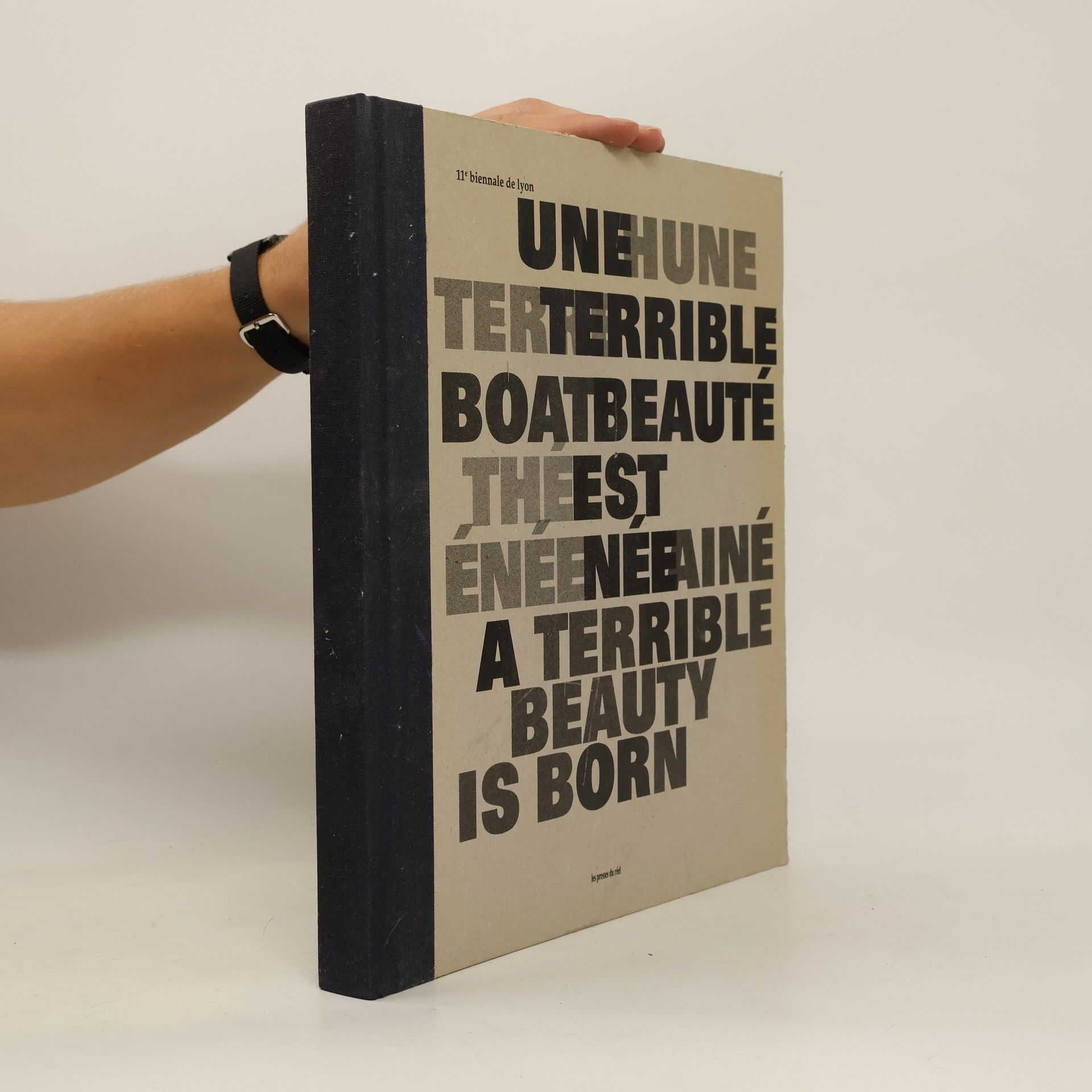 Various authors A Terrible Beauty Is Born