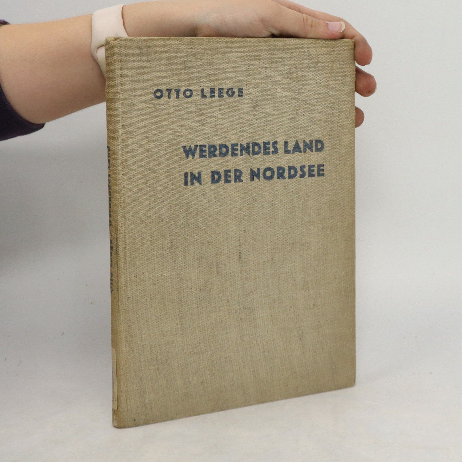 Otto Leege Werdendes Land in der Nordsee