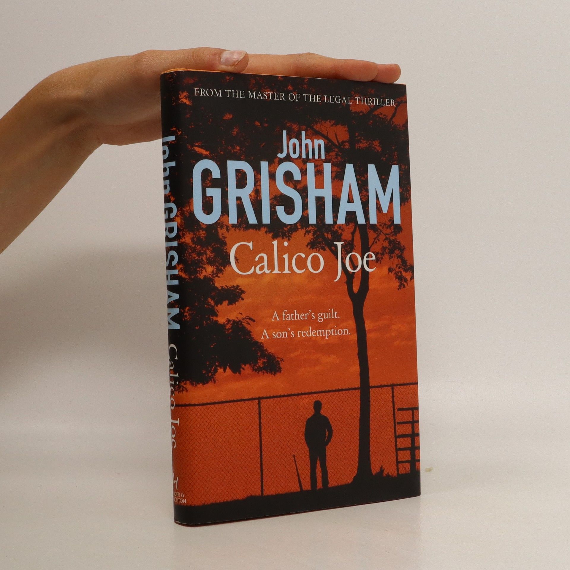 John Grisham Calico Joe