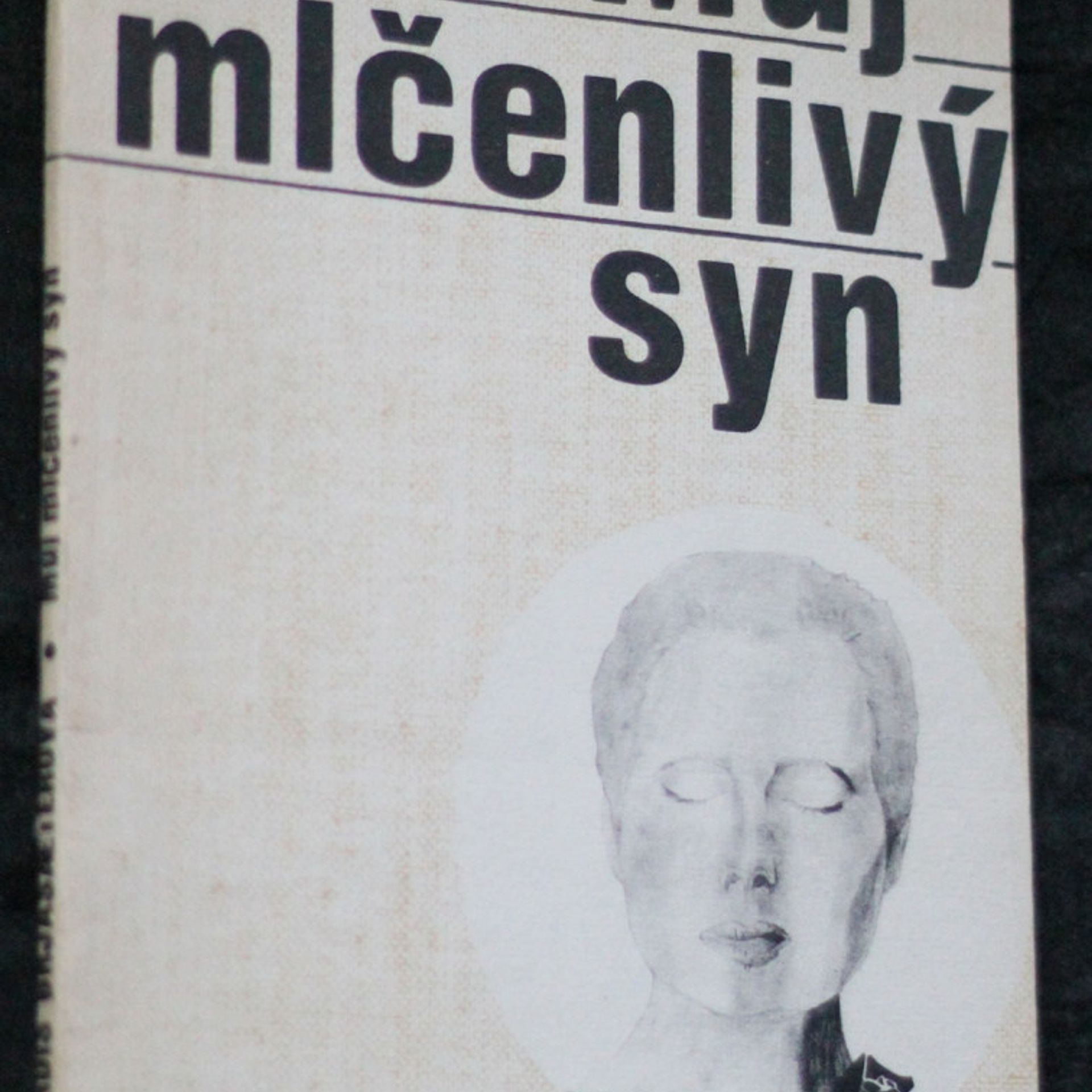 Tordis Ørjasaeter Můj mlčenlivý syn