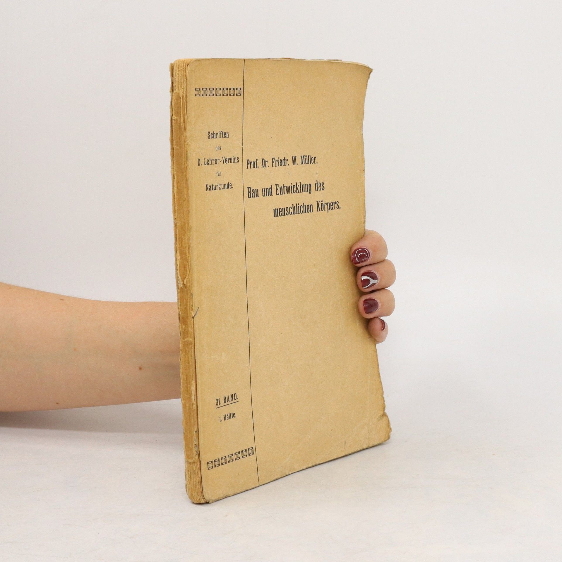 Friedrich Wilhelm Albert Müller Bau und Entwicklung des menschlichen Körpers