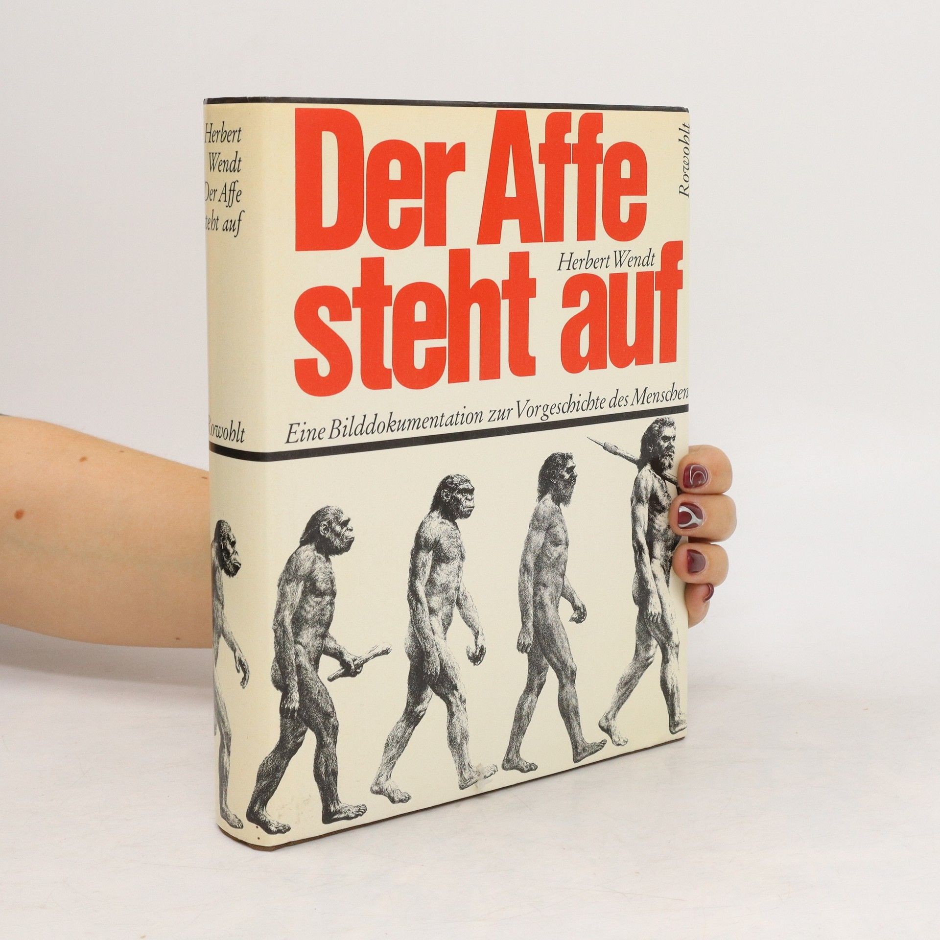 Herbert Wendt Der Affe steht auf