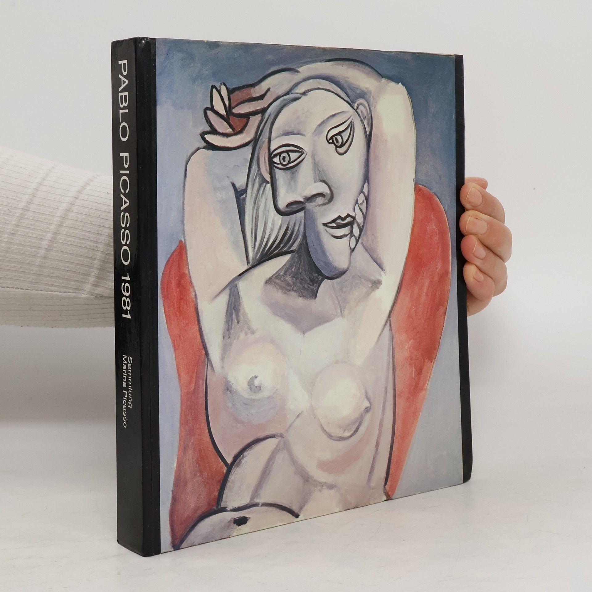 Autorenkollektiv Pablo Picasso