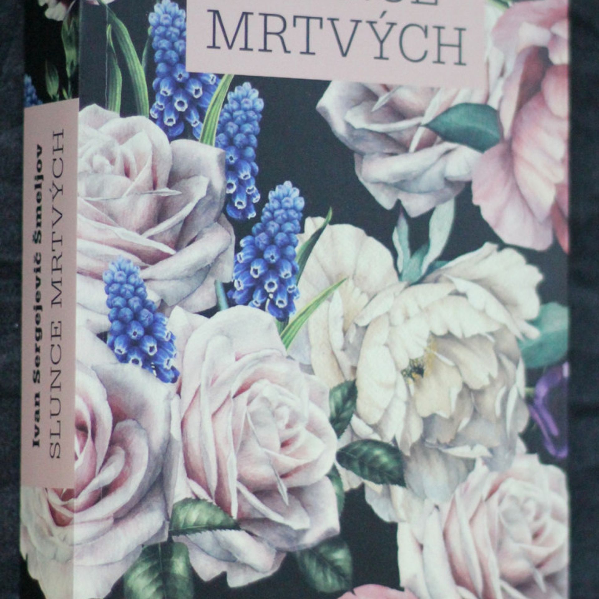 Ivan Sergejevič Šmeljov Slunce mrtvých