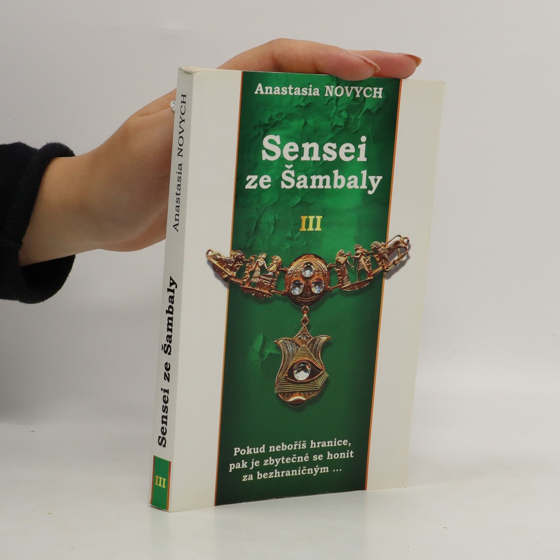 Anastasia Novych Sensei ze Šambaly. Kniha III