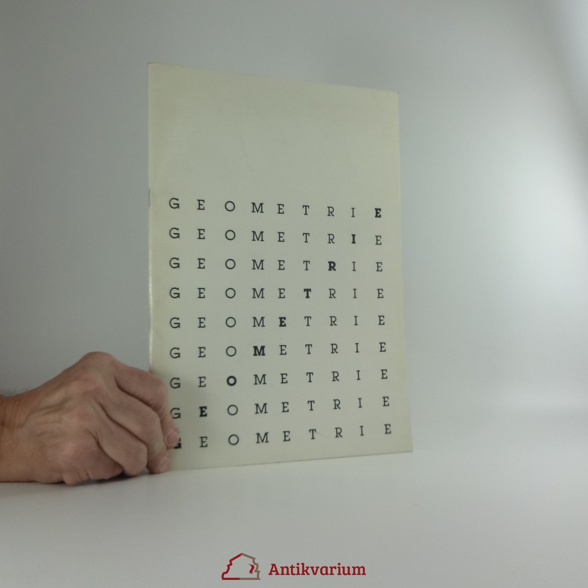 Kolektív autorov Geometrie